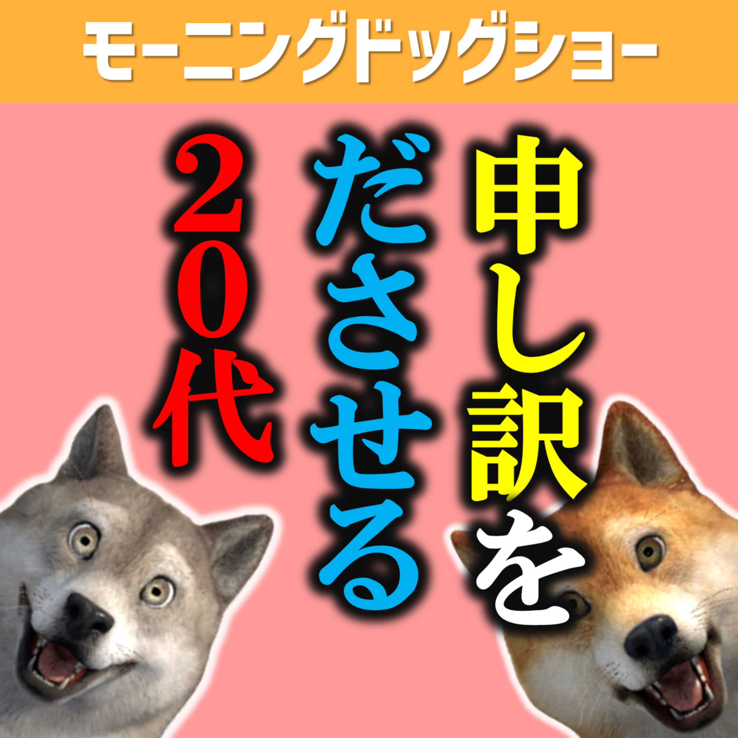 年上に申し訳なさを感じさせる20代 episode artwork