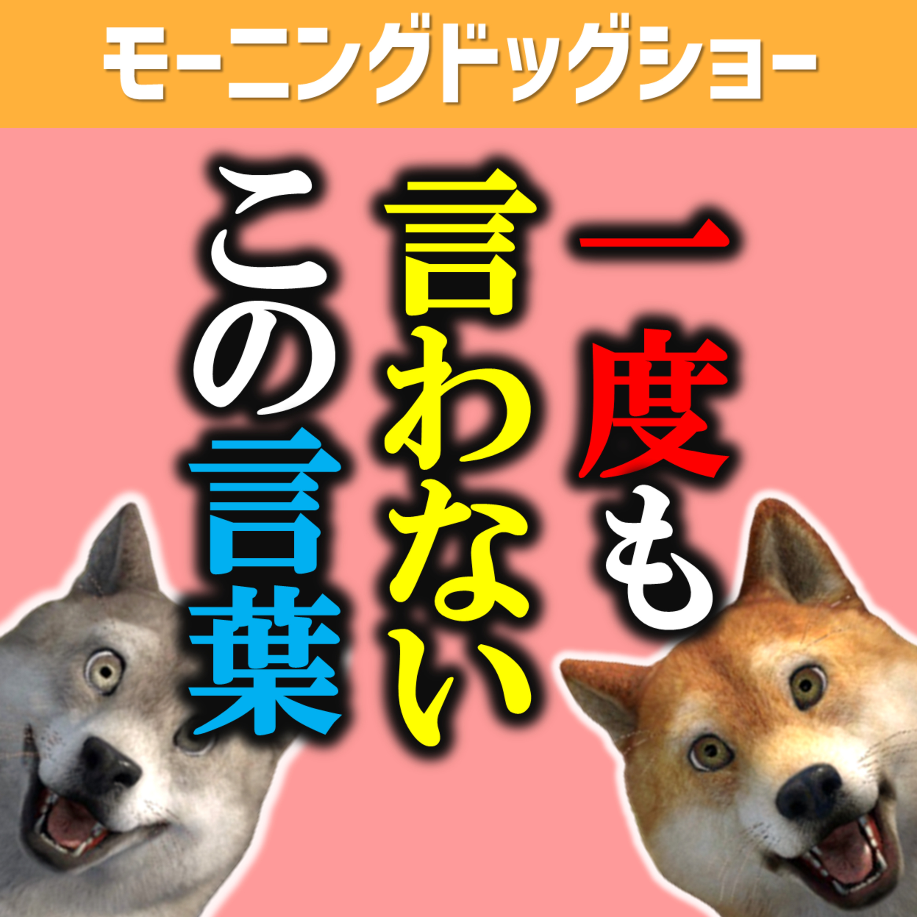 このチャンネル始めて一度も言われなかったので言います。 episode artwork
