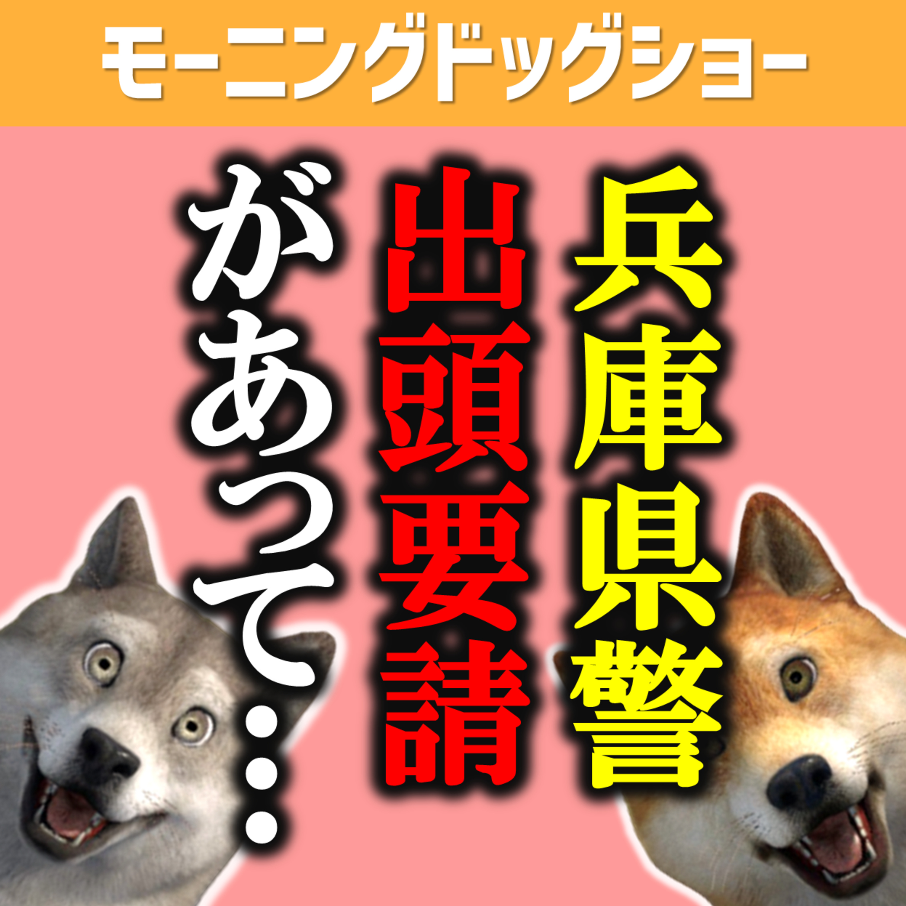 兵庫県警から出頭要請がありました episode artwork