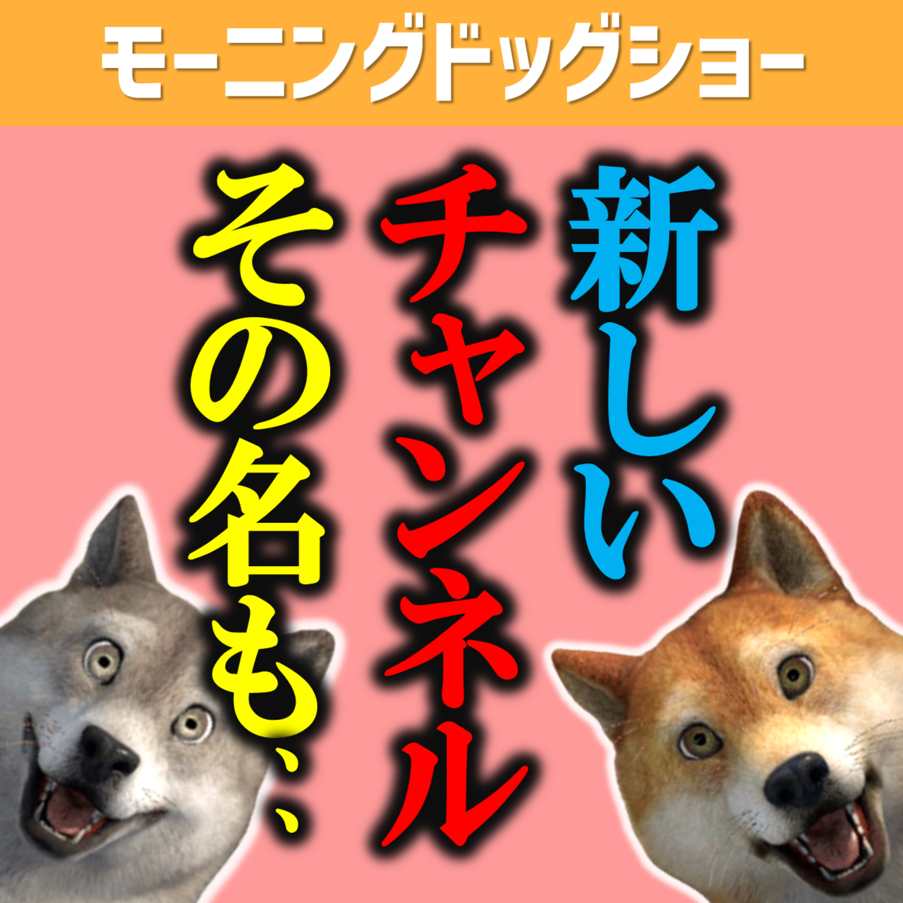 ターキーが新しいYoutubeチャンネルを開設します！その名は... episode artwork