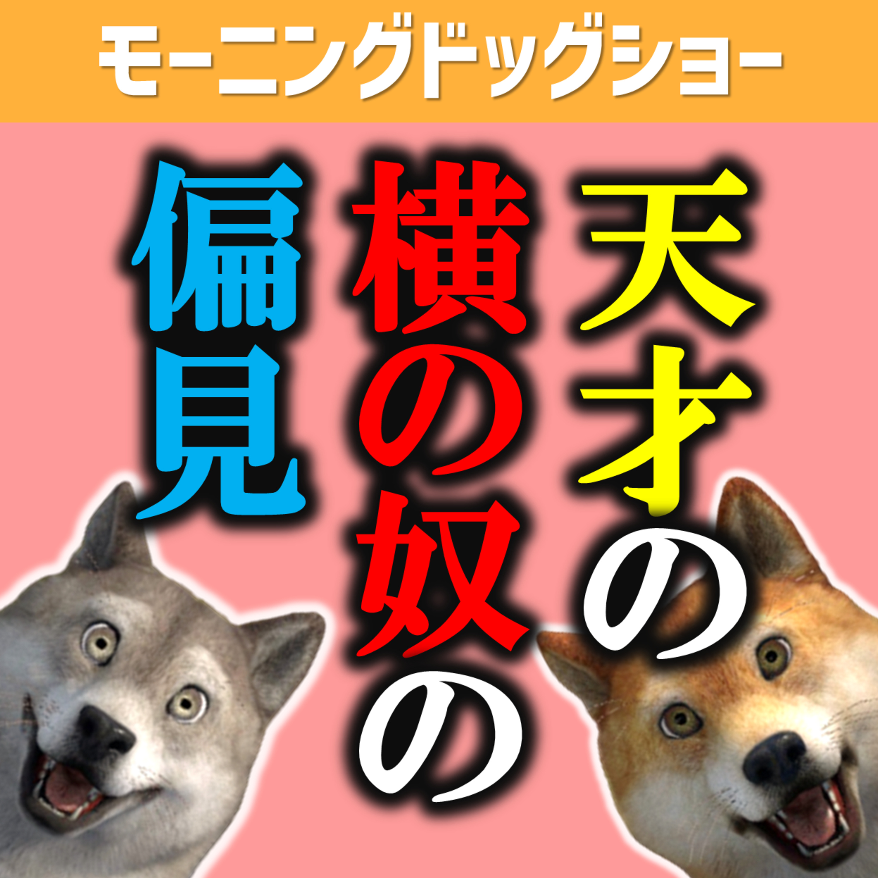 天才の横にいるやつの偏見 episode artwork