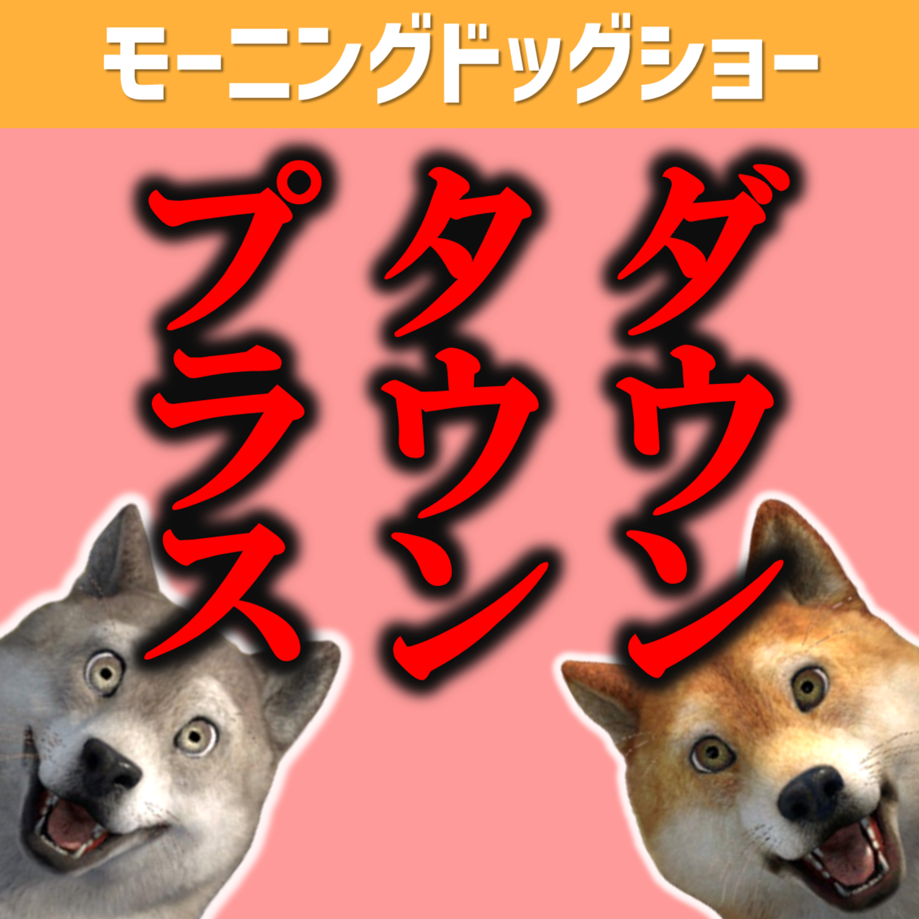 ダウンタウンプラス