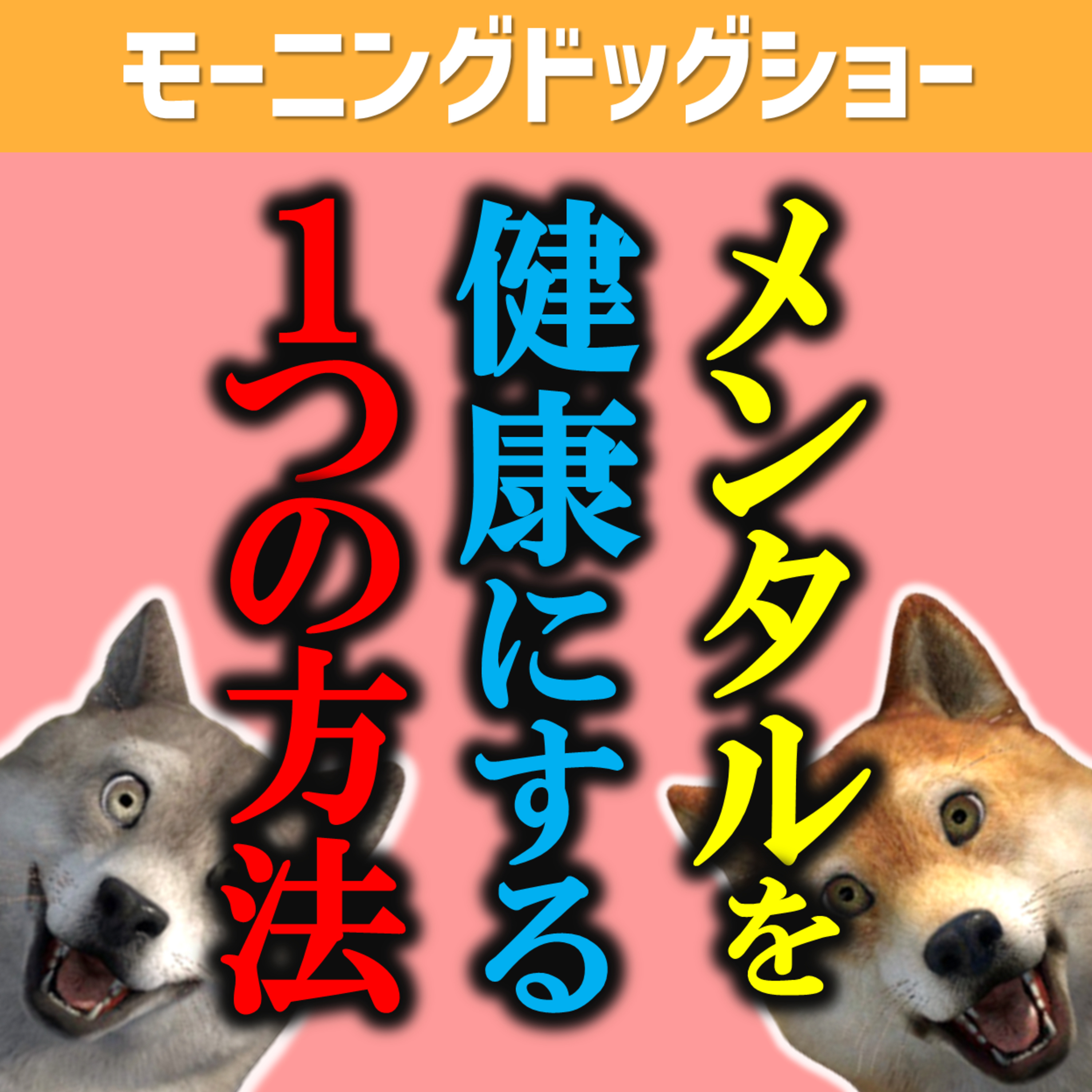 メンタルヘルスが健康であるためのたった１つの方法 episode artwork