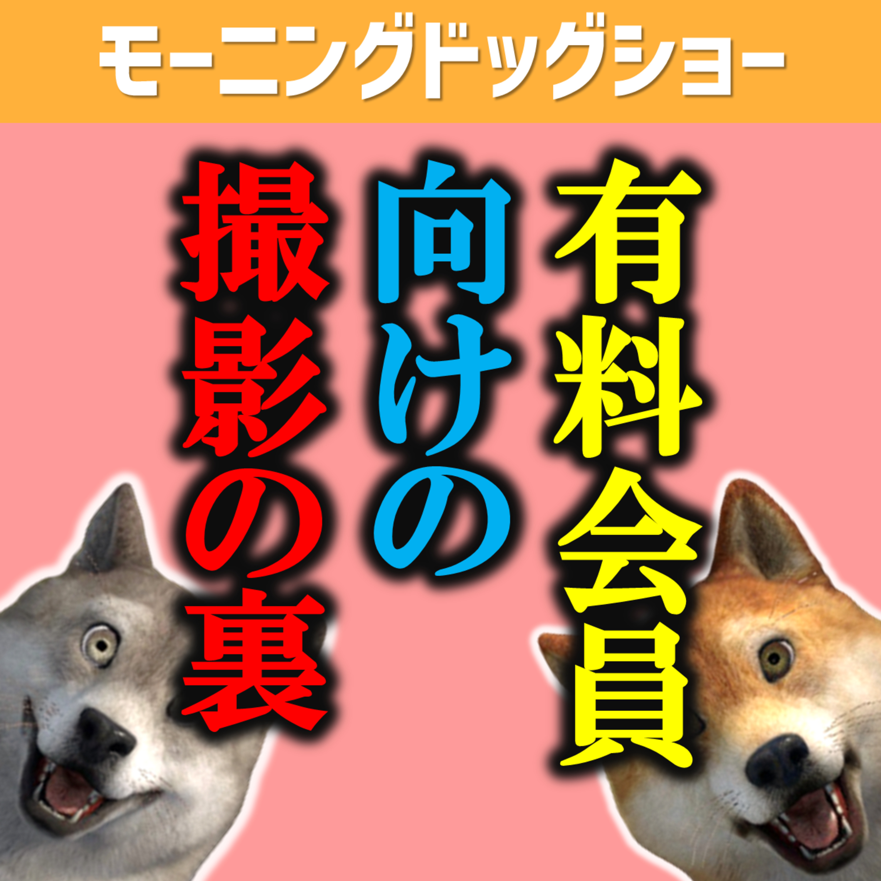有料会員向けの1日のルーティンを撮影した裏側 episode artwork