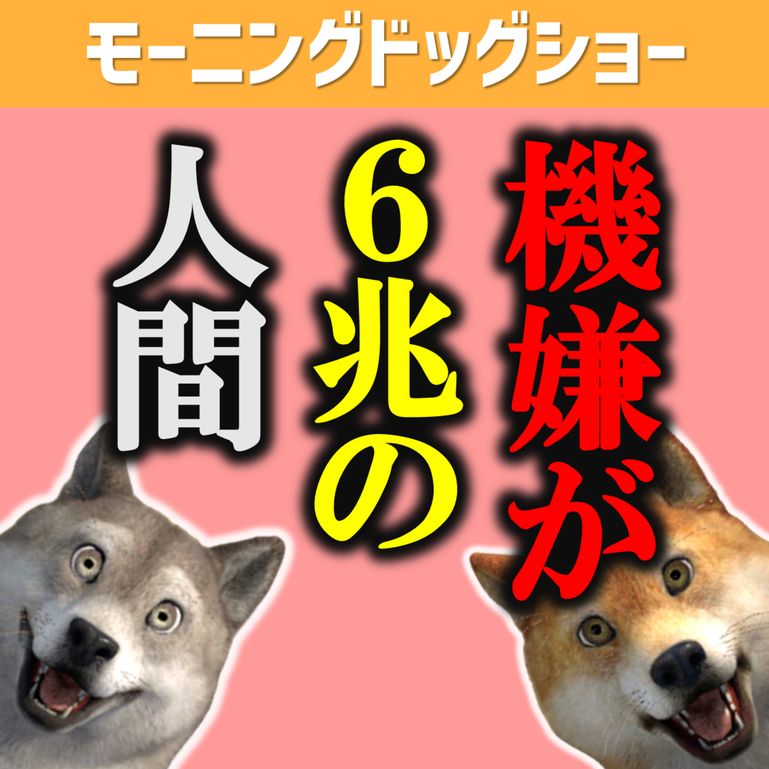 1日の始まりから６兆で始まるので運勢はあまり関係ない episode artwork