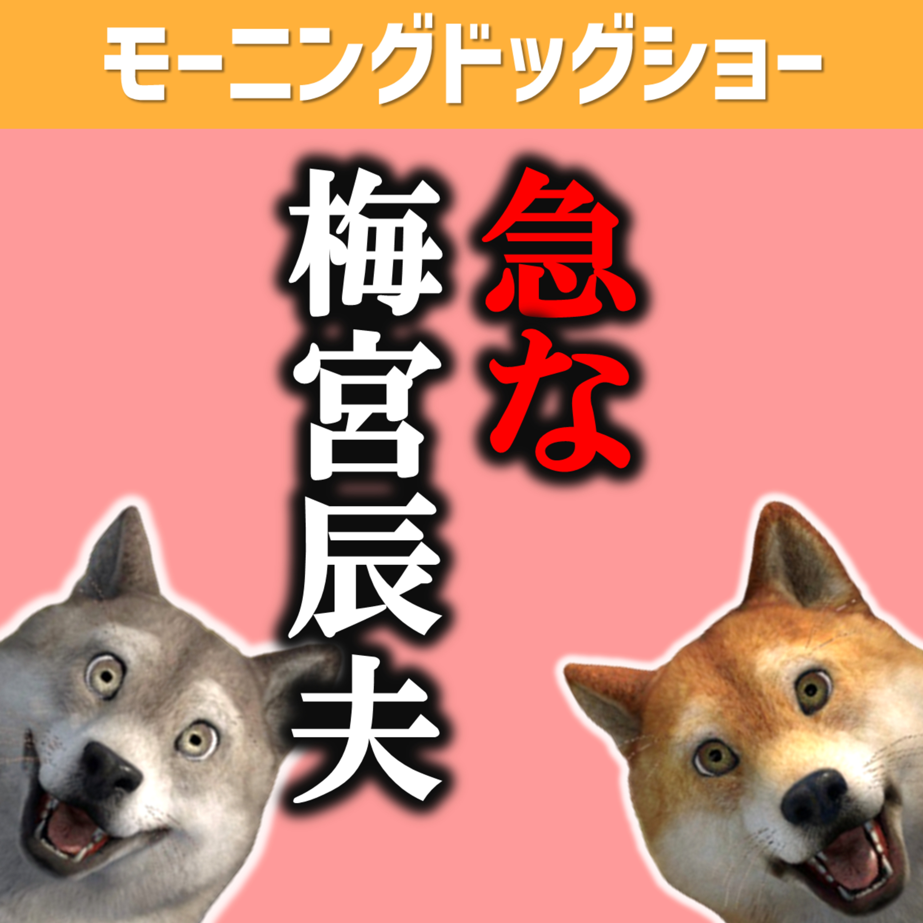 人は「刺激 or 安心」を求めにいっている/急な梅宮辰夫/特定されたら episode artwork