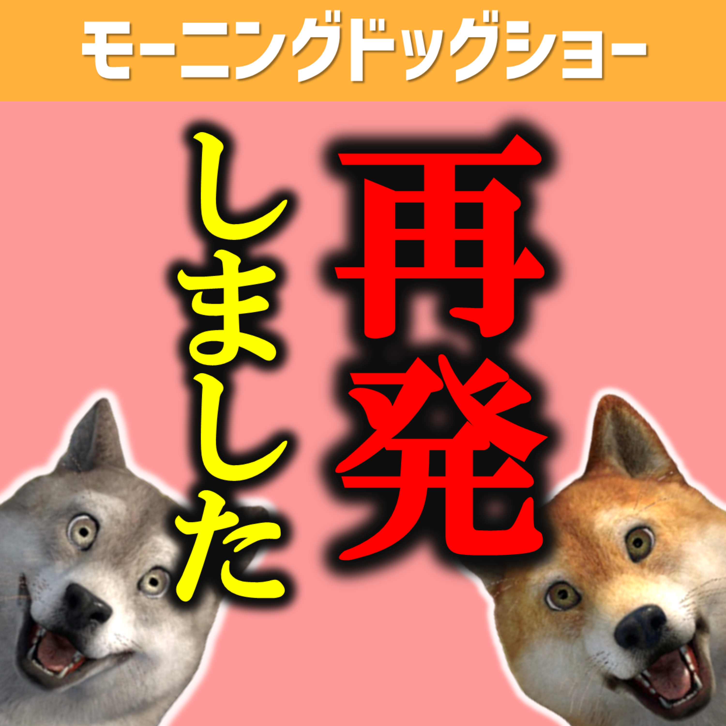 再発した｜『あぁ、そう』｜ウォータスライダー方式で痛みを和らげる｜ episode artwork