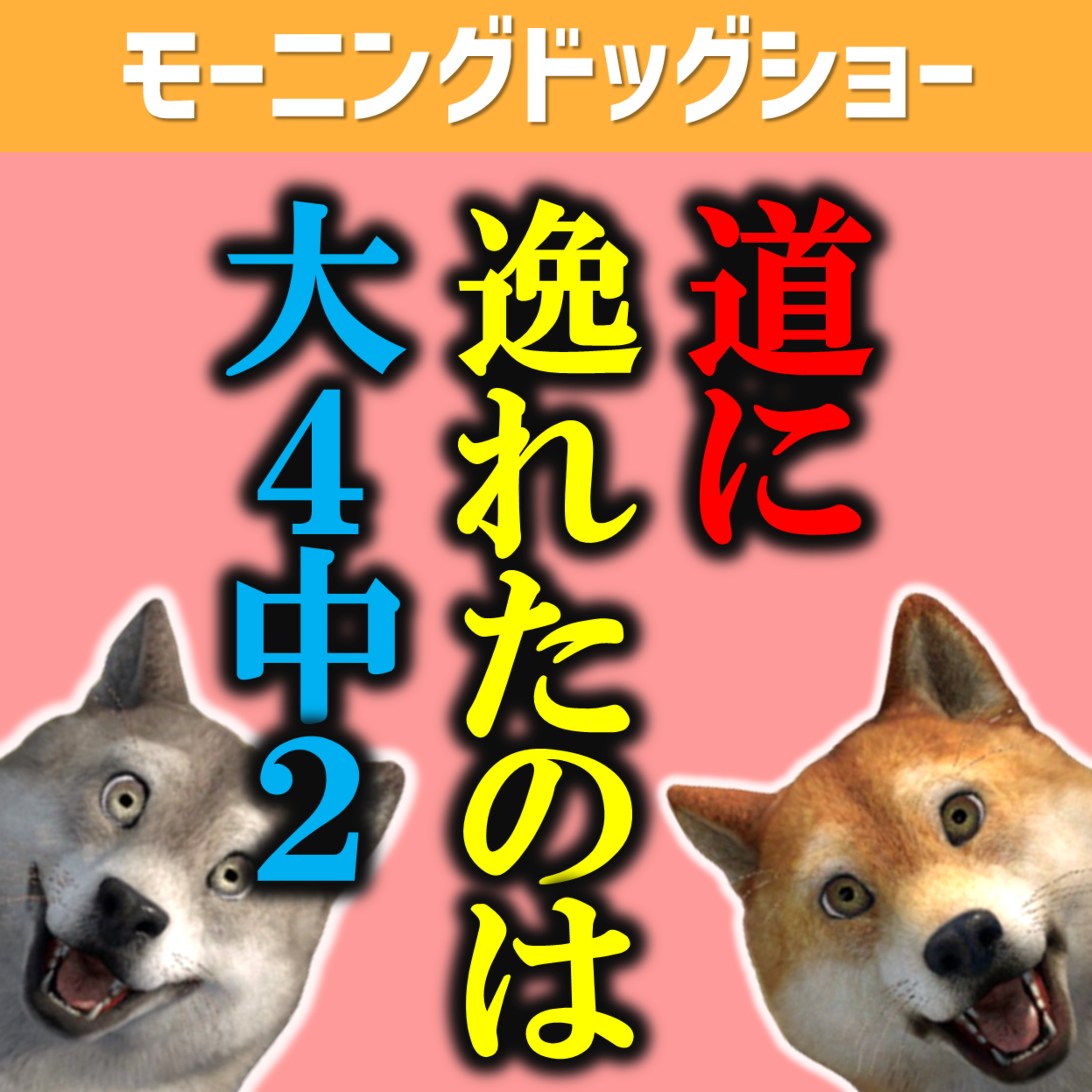 大４で道を外した説と中２で道を外した説｜ターキーの口癖 episode artwork