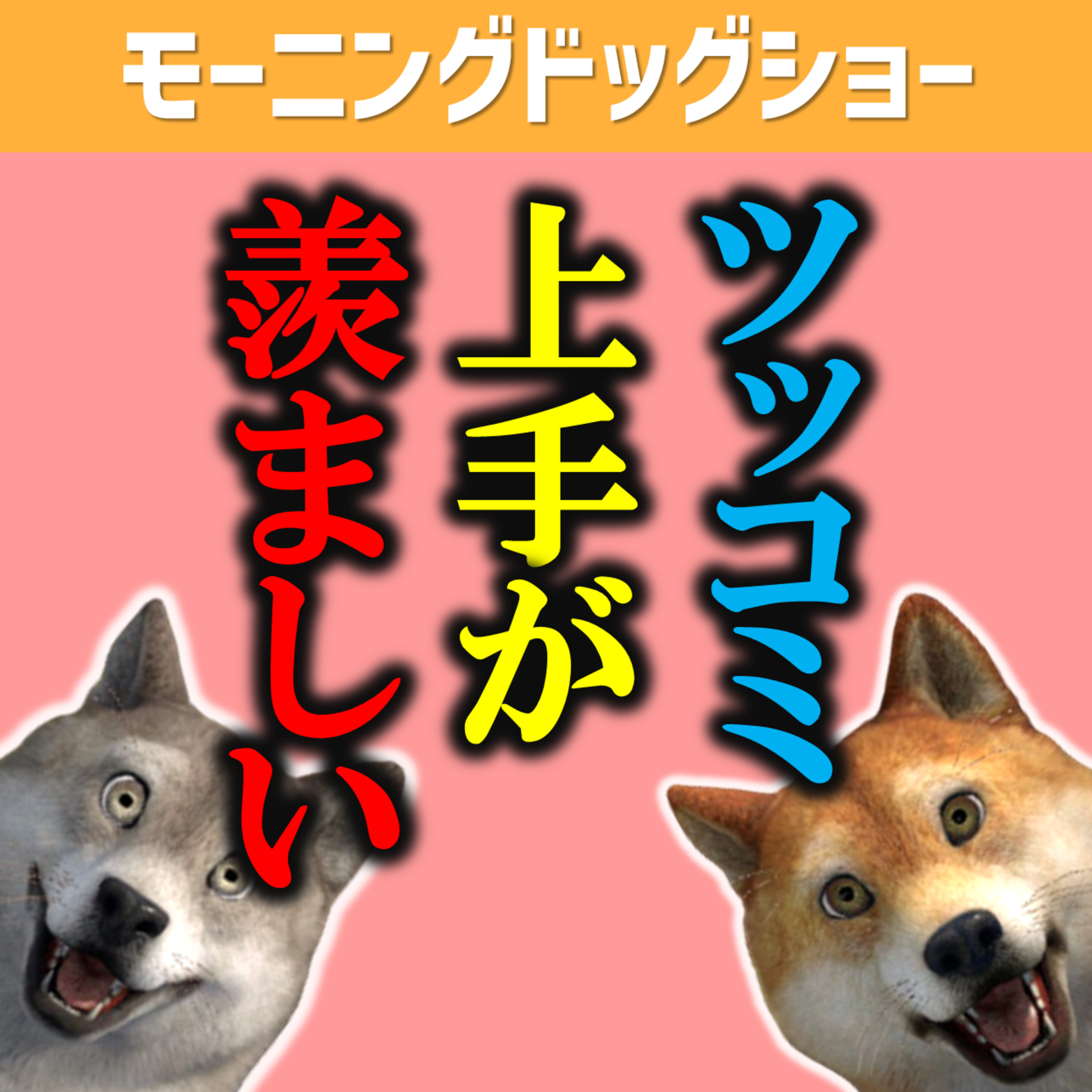 こうツッコまれたい人のボケとツッコミを期待しない人のボケ｜初対面でボケ倒し episode artwork