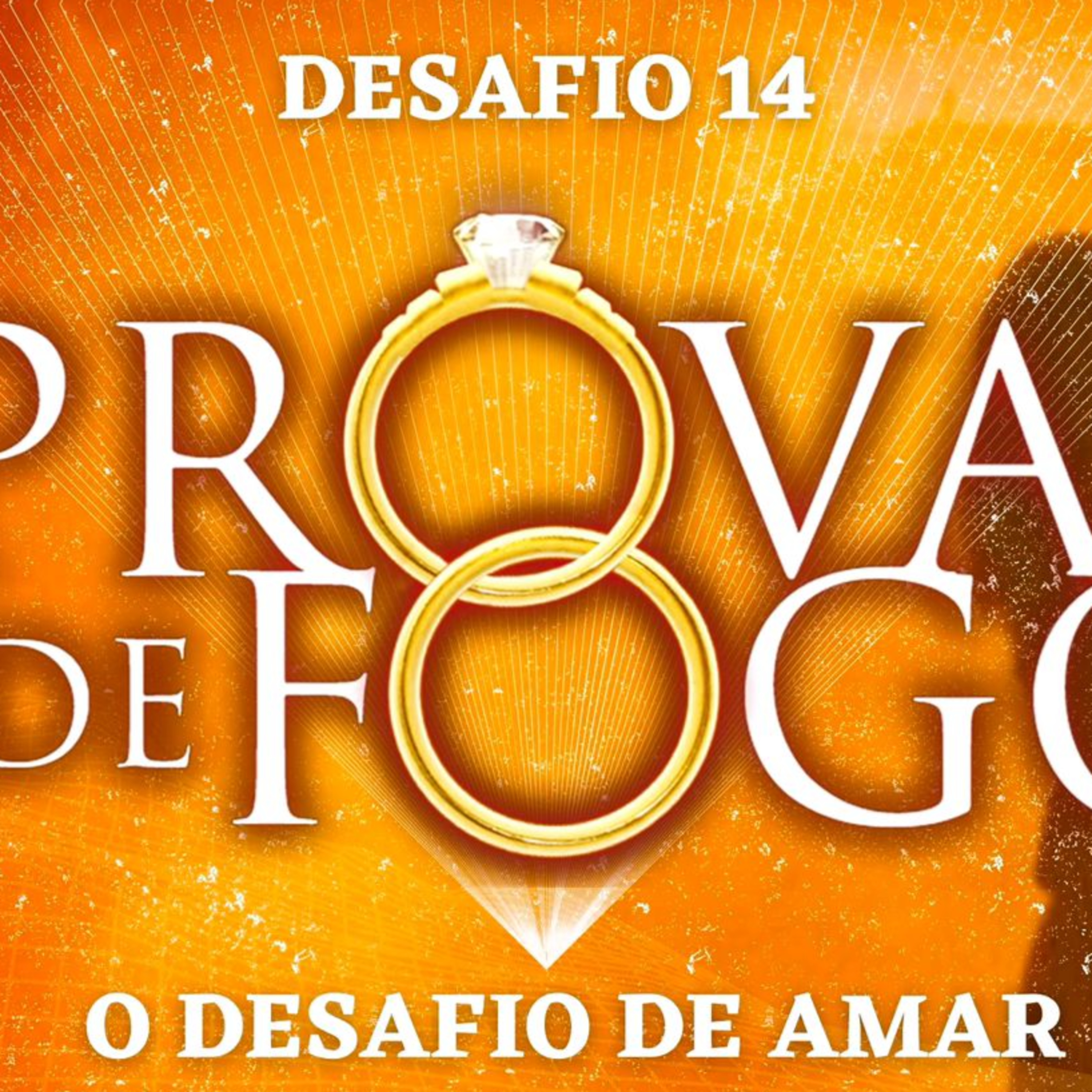 Conheça as Bíblias e Livros da BV Books