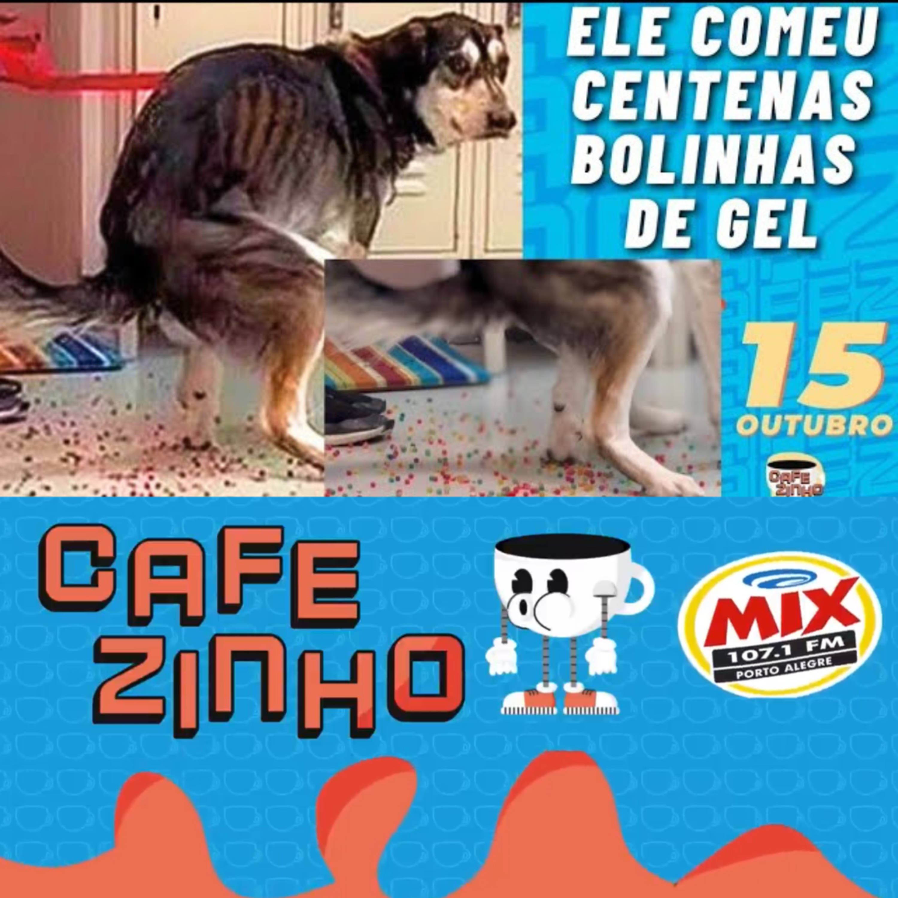 CACHORRO ENGOLE PACOTE DE ORBEEZ E DEFECA BOLINHAS DE GEL COLORIDAS Cafezinho - Terça-feira - 15/10/24 episode artwork