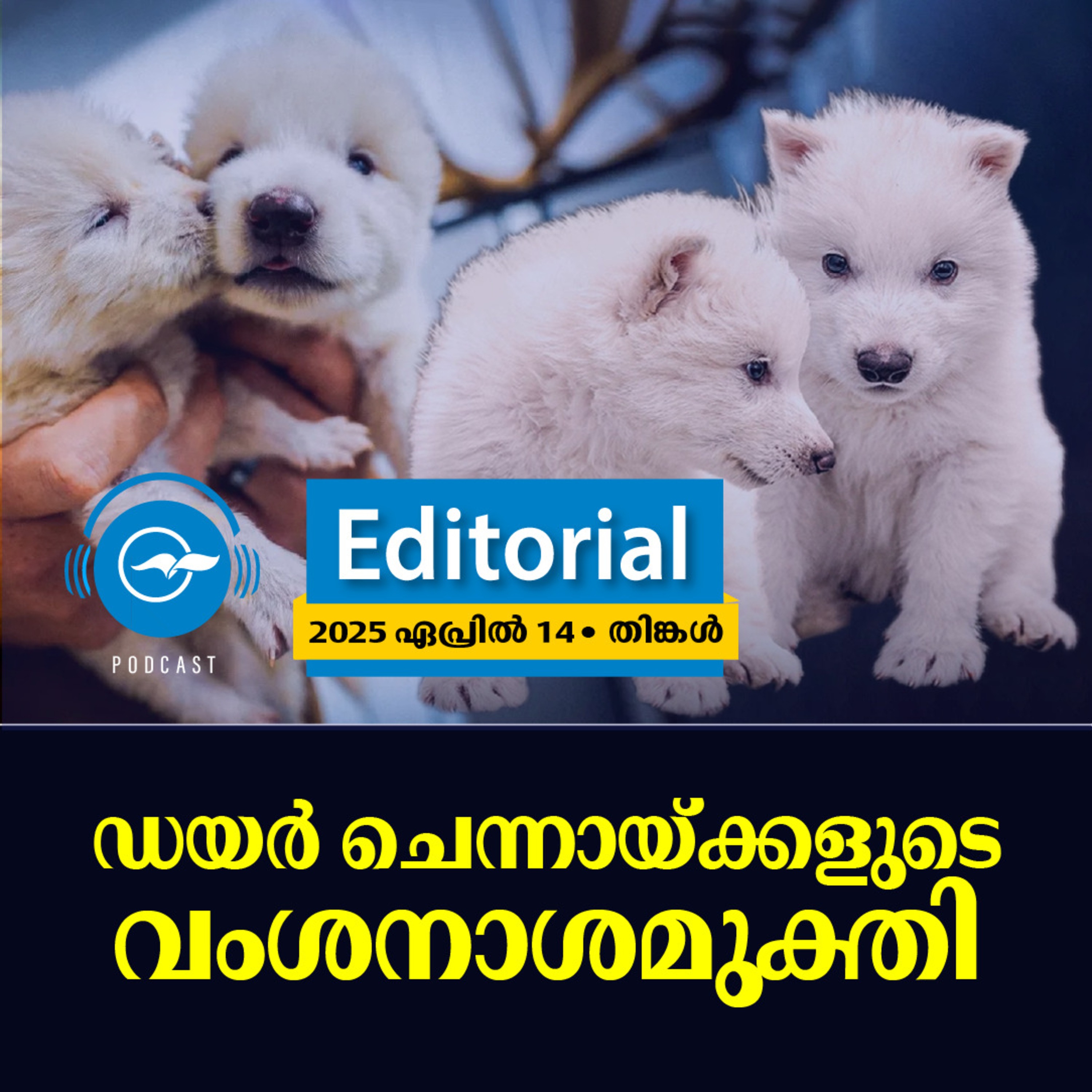 ഡയർ ചെന്നായ്ക്കളുടെ വംശനാശ മുക്തി | Madhyamam Editorial episode artwork