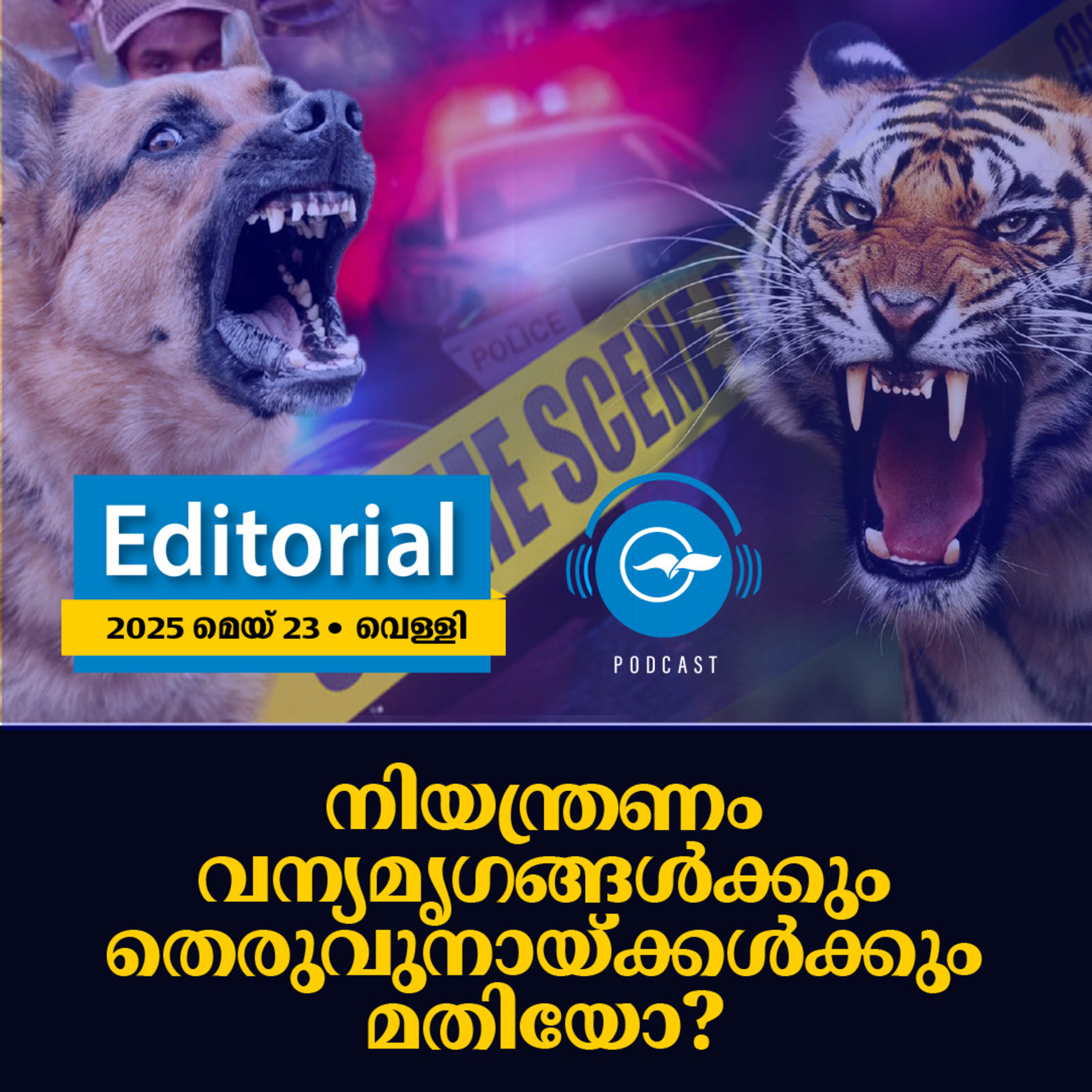 നിയന്ത്രണം വന്യമൃഗങ്ങൾക്കും തെരുവുനായ്ക്കൾക്കും മതിയോ? | Madhyamam Editorial episode artwork