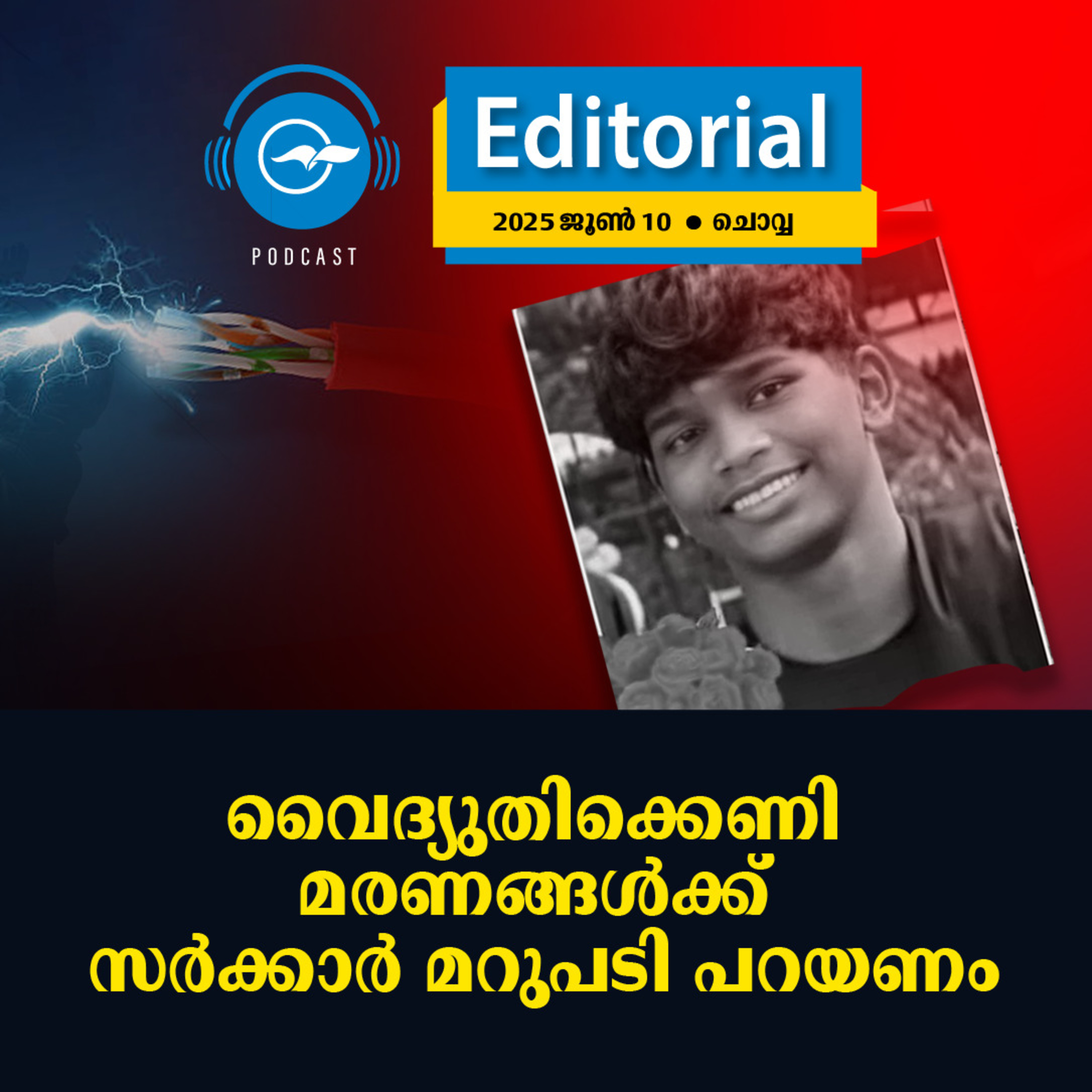 വൈദ്യുതിക്കെണി മരണങ്ങൾക്ക്​ സർക്കാർ മറുപടി പറയണം episode artwork