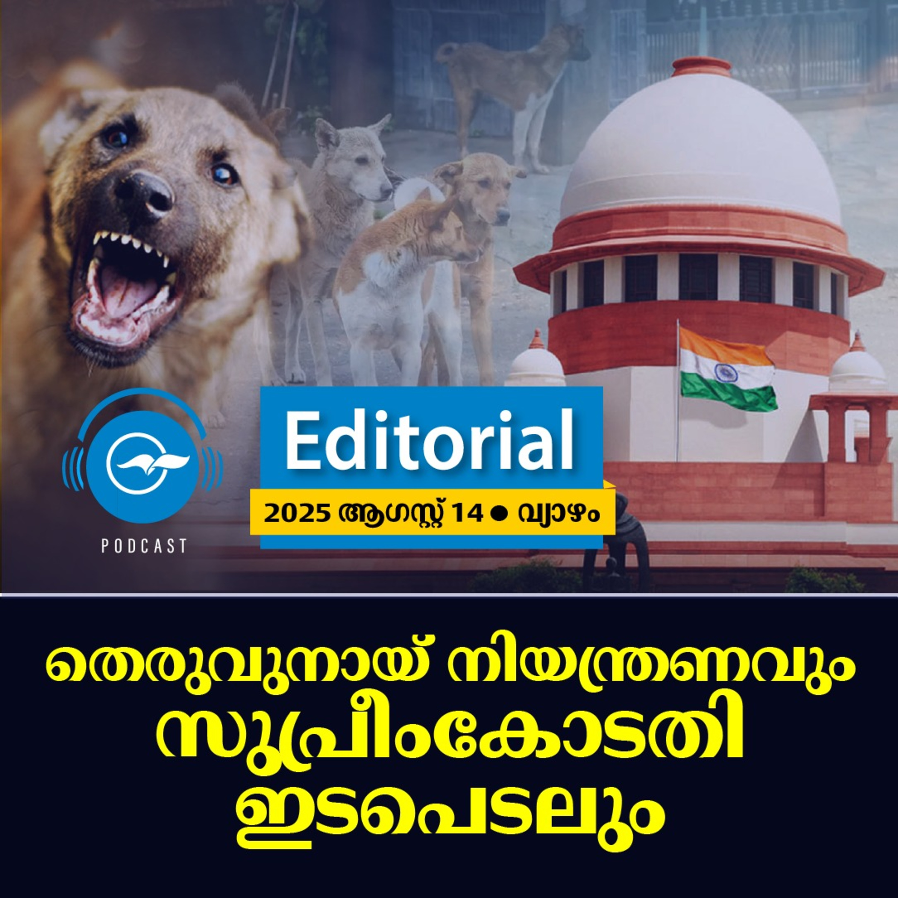 തെ​​രു​​വു​​നാ​​യ് നി​​യ​​ന്ത്ര​​ണ​​വും സു​​പ്രീം​​കോ​​ട​​തി ഇ​​ട​​പെ​​ട​​ലും episode artwork