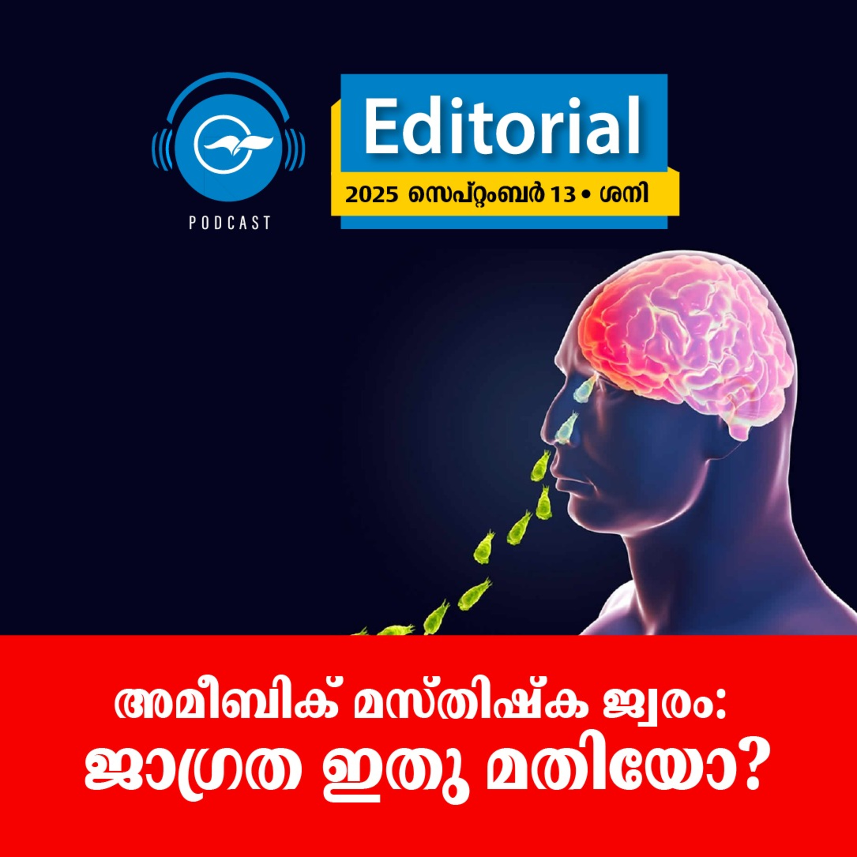 അമീബിക് മസ്തിഷ്ക ജ്വരം: ജാഗ്രത ഇതു മതിയോ? episode artwork