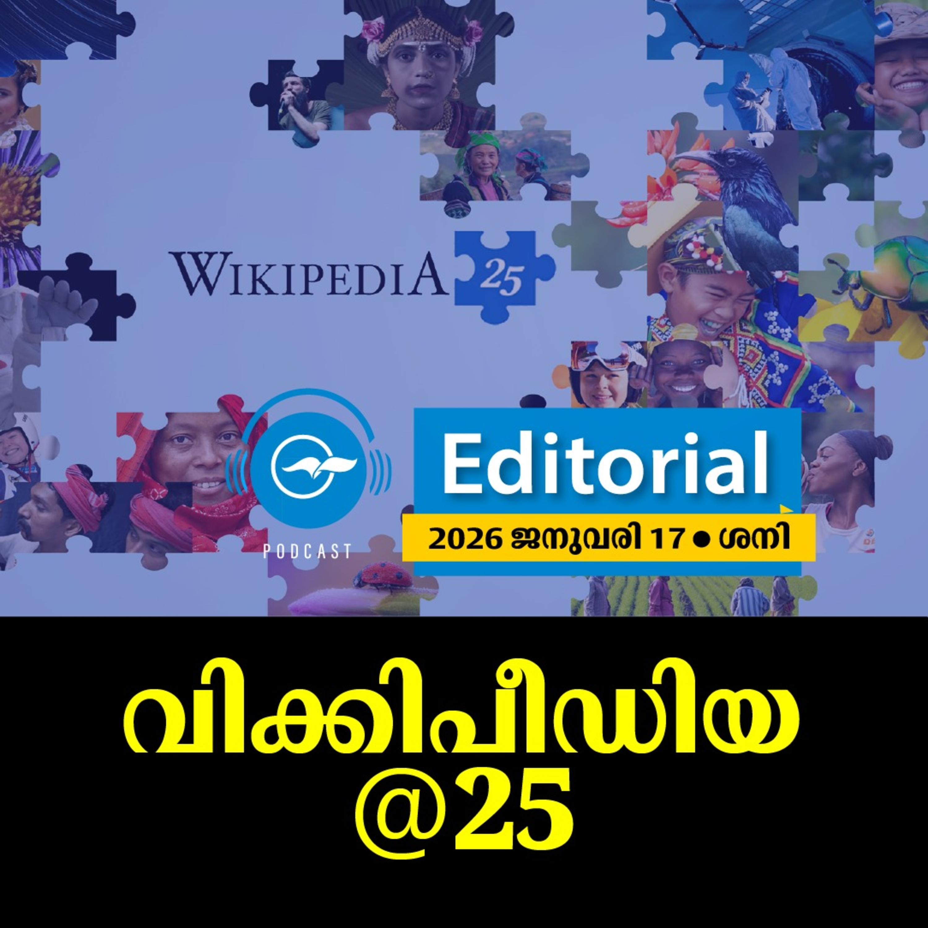 വിക്കിപീഡിയ@ 25 episode artwork