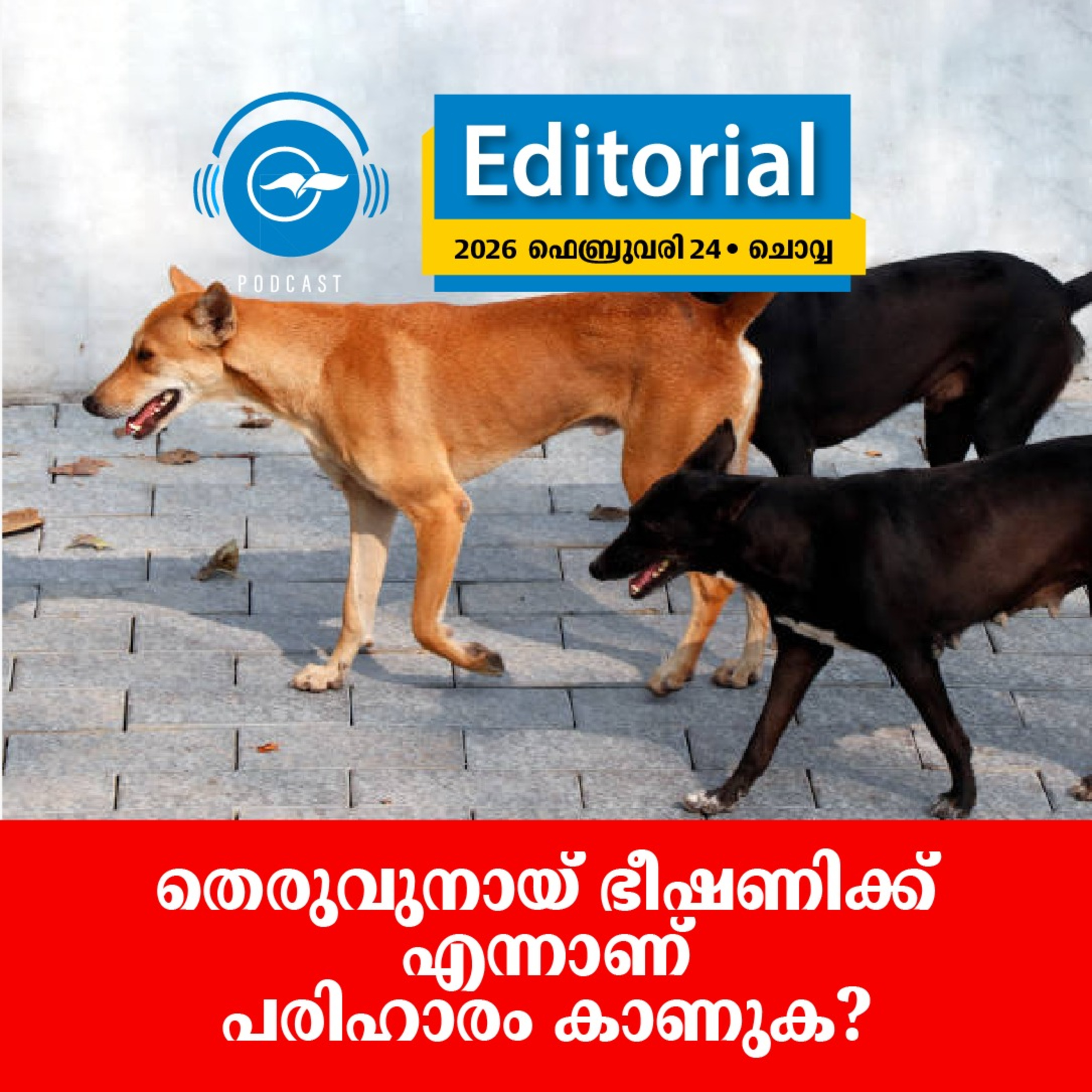 തെരുവുനായ് ഭീഷണിക്ക് എന്നാണ് പരിഹാരം കാണുക? episode artwork