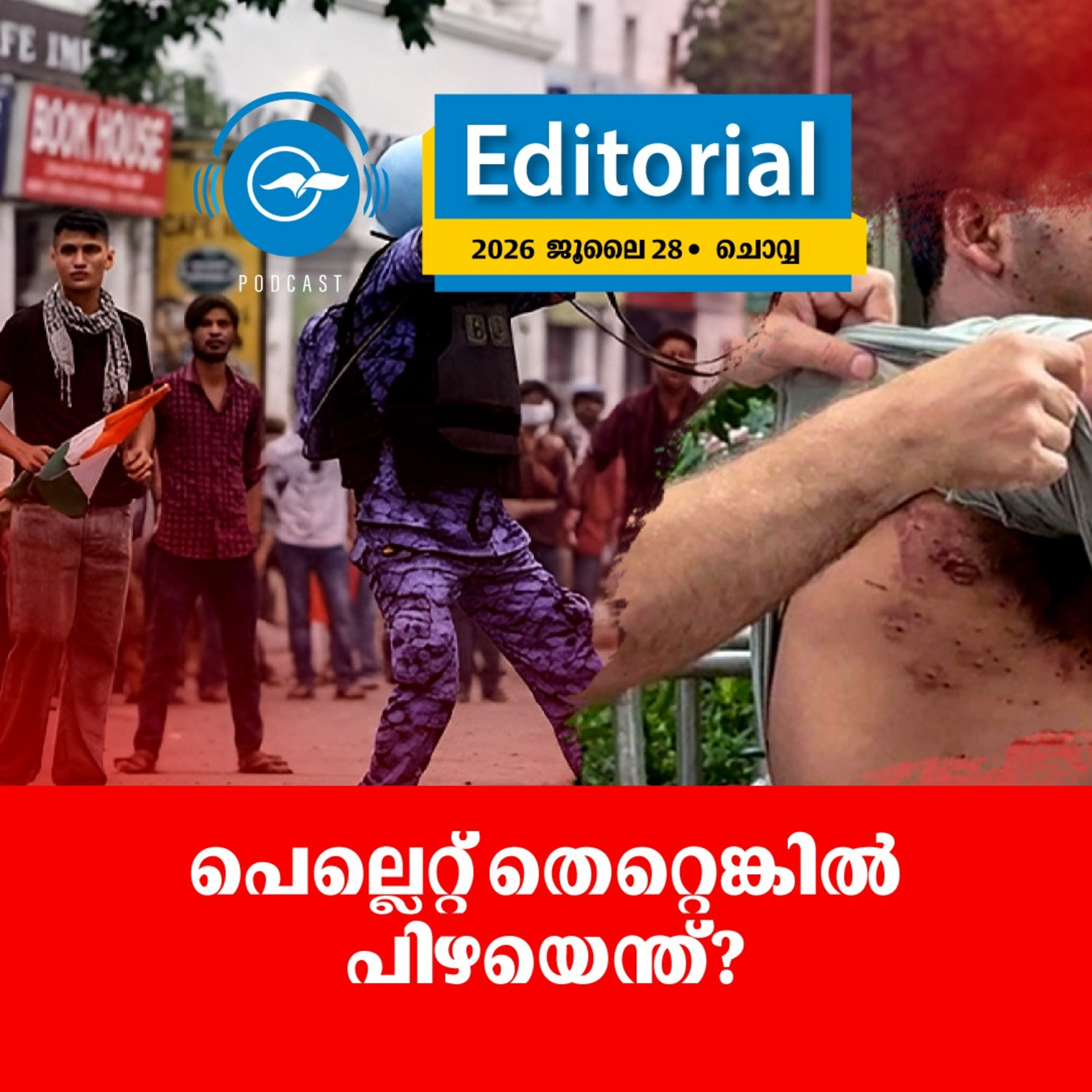 പെല്ലെറ്റ് തെറ്റെങ്കിൽ പി​ഴയെന്ത്? episode artwork
