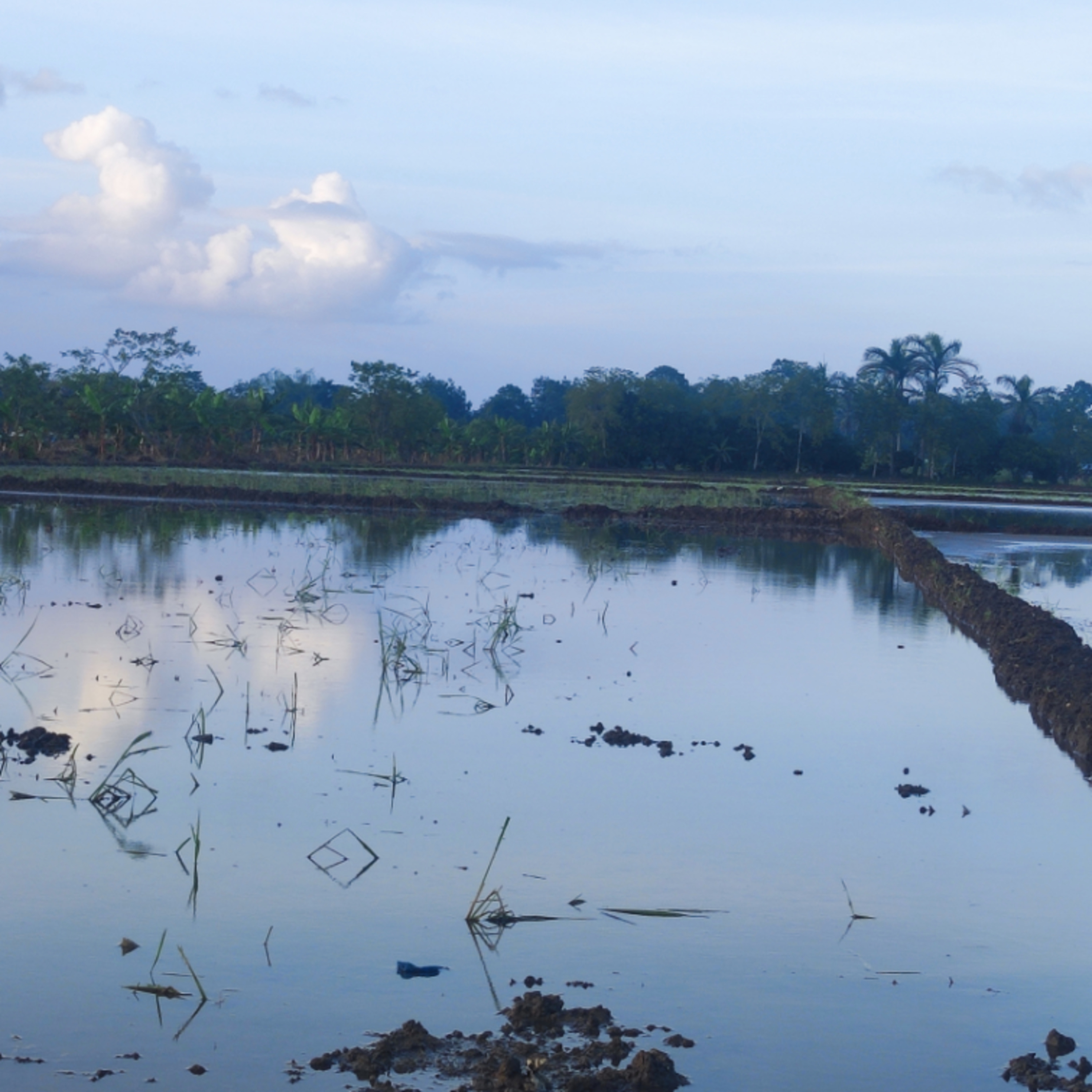 Neurologia para marcianos
