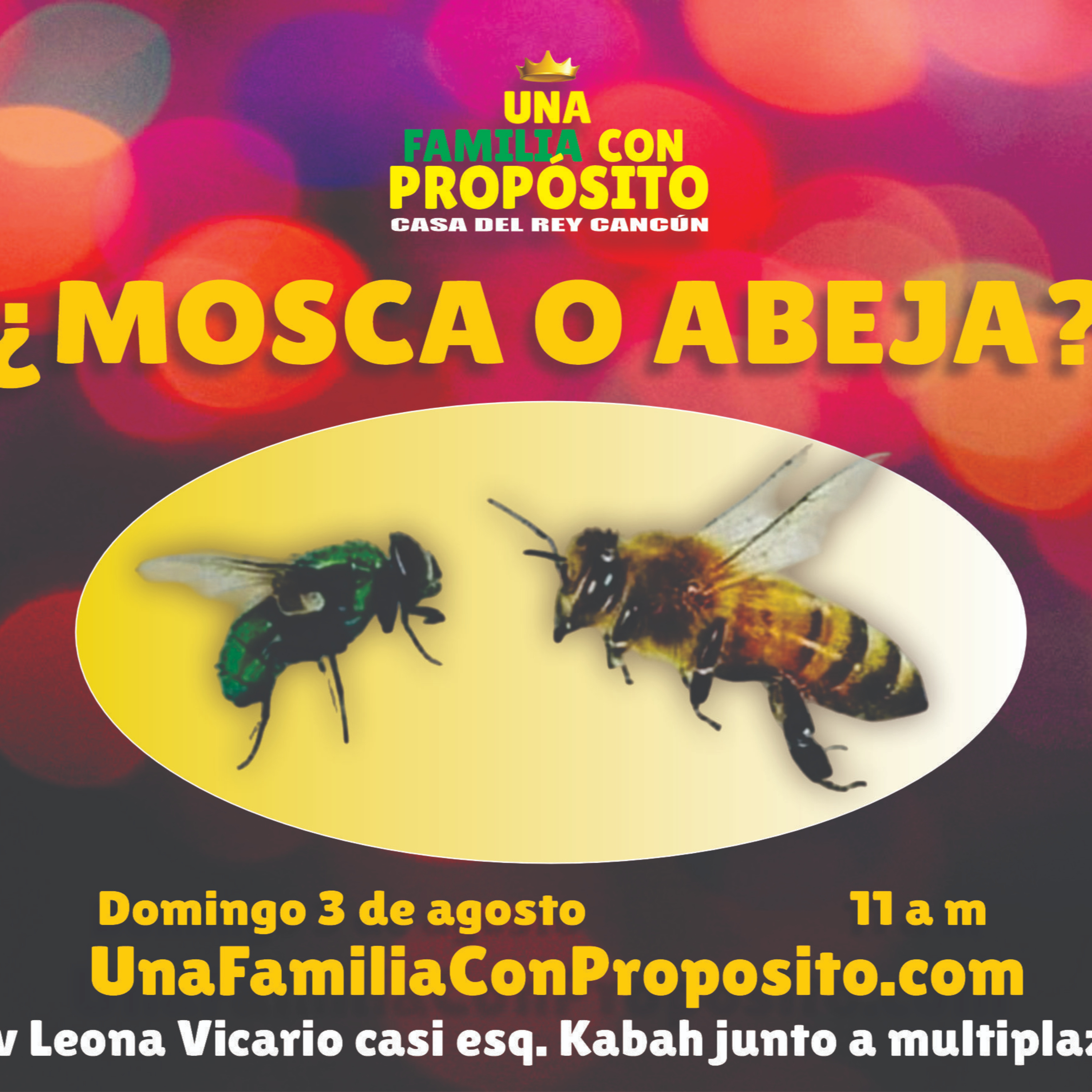 Una familia con propósito
