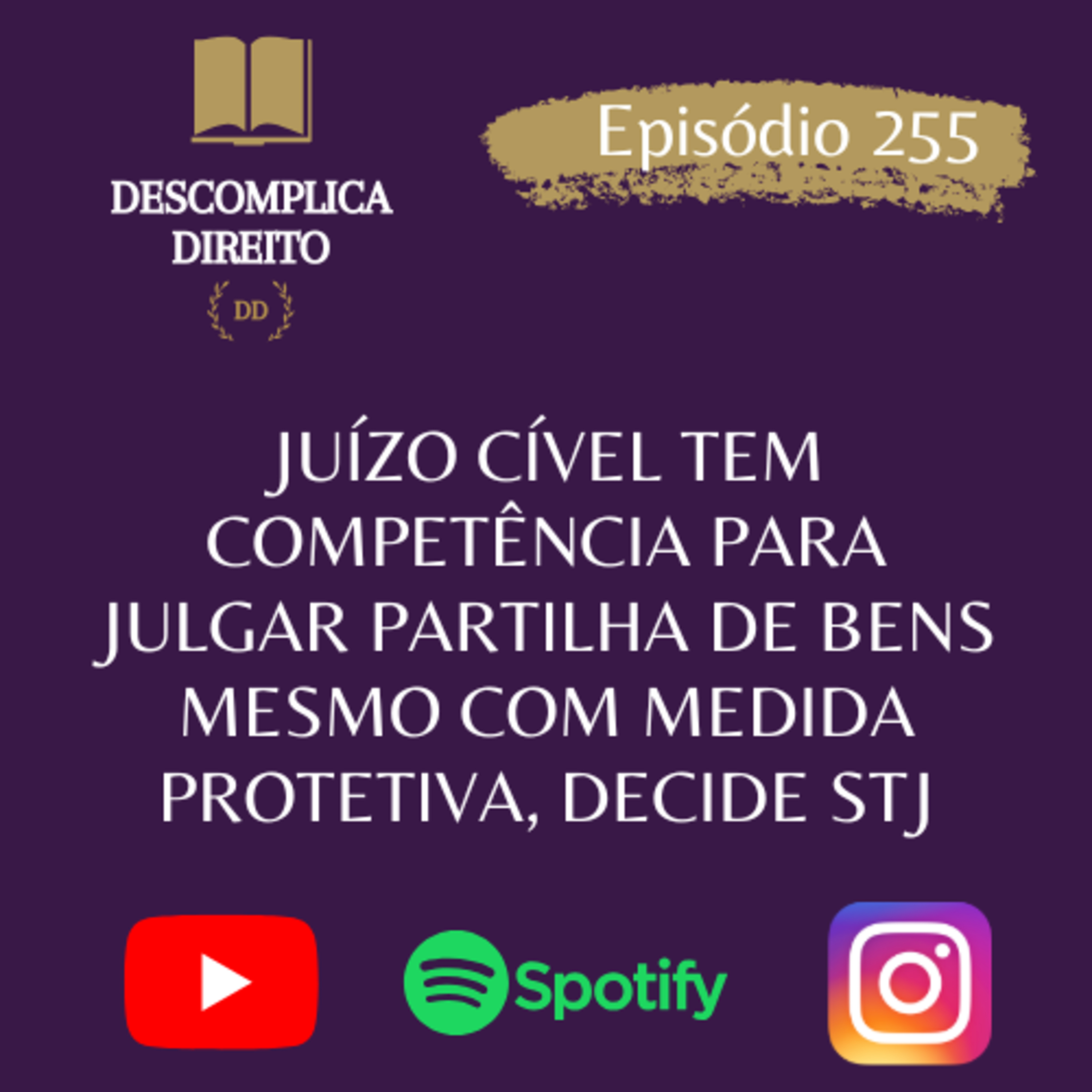 DESCOMPLICA DIREITO