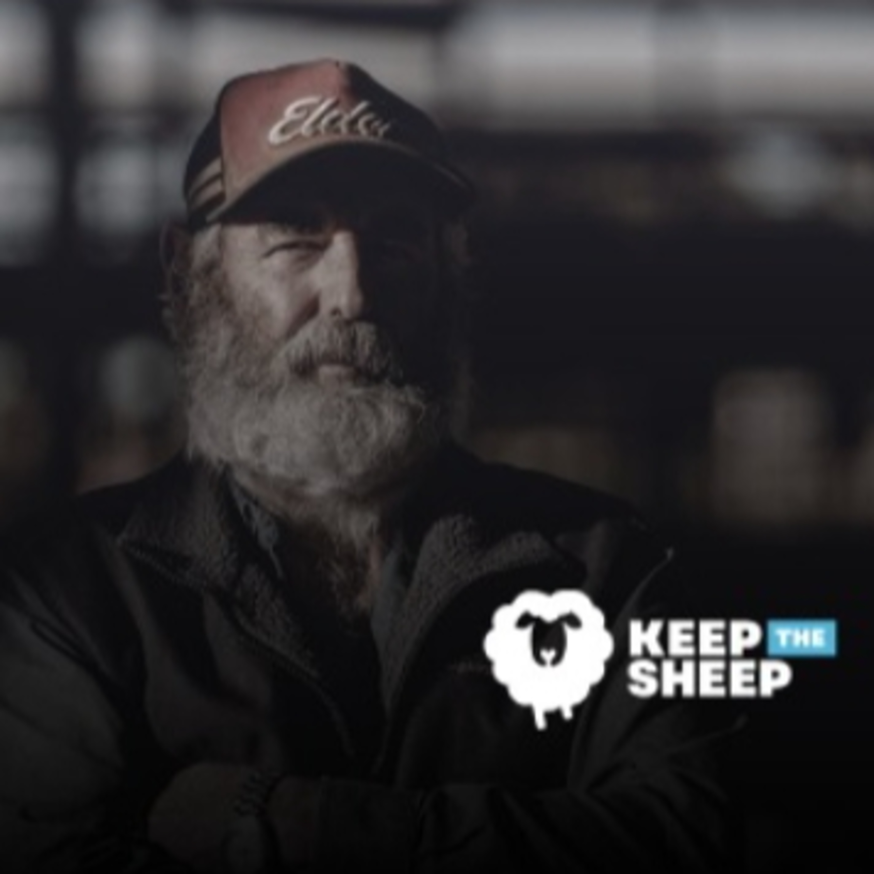 Paul Brown - Keep the Sheep Campaign - Talk of Our Shire 21 August 2024 episode artwork