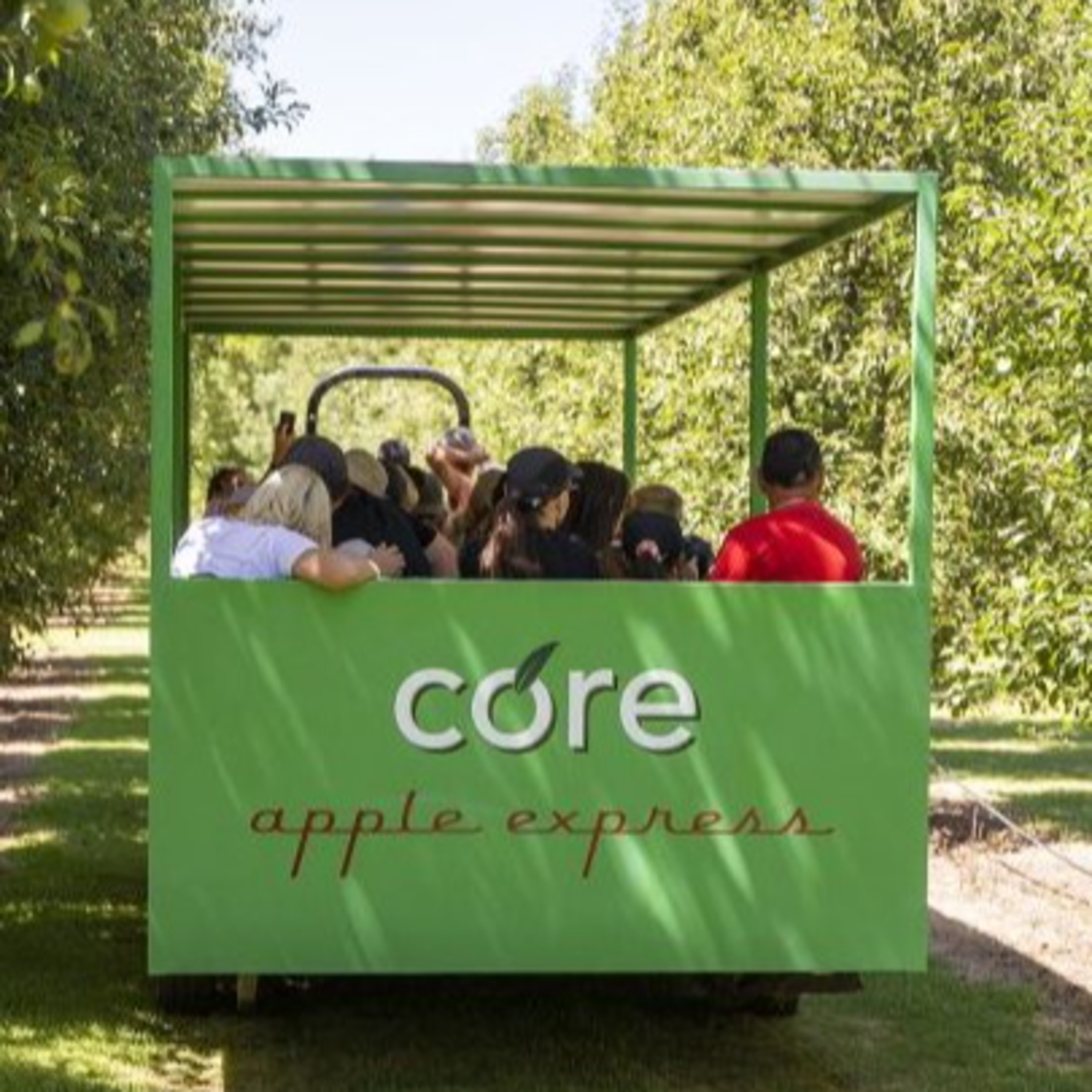 Core Cider - Matt Lopes - Bank of Ideas Conference Sept 2024 episode artwork