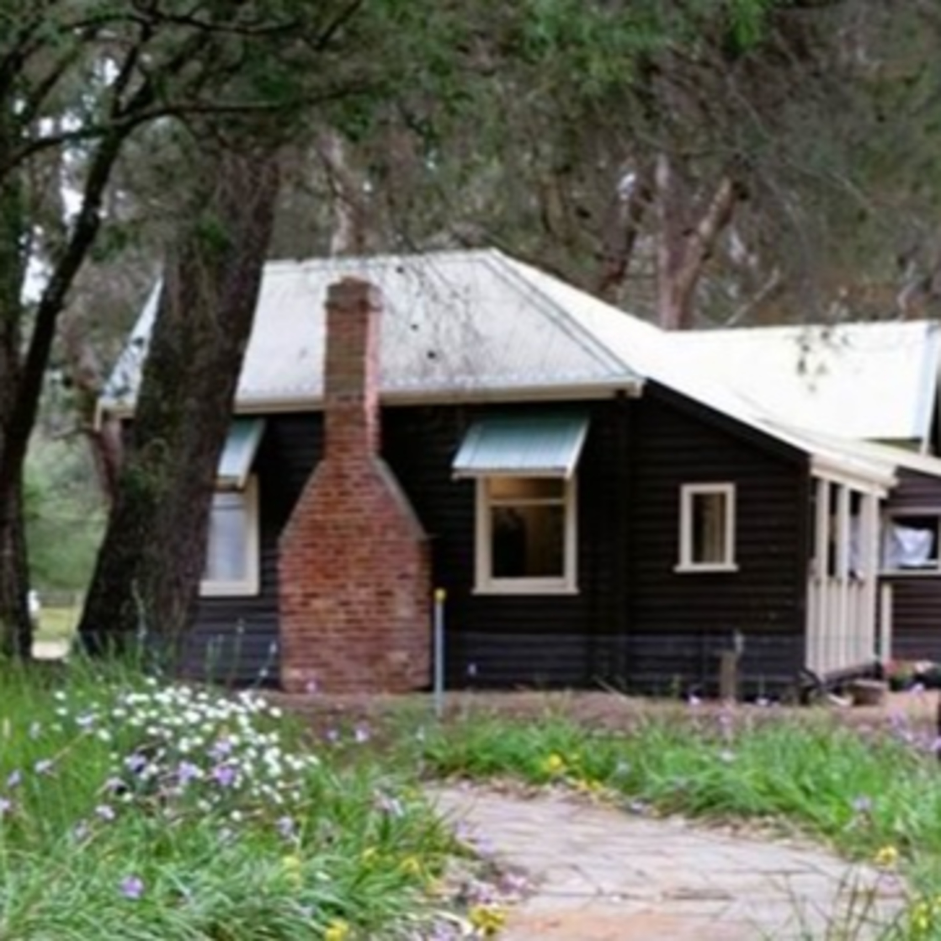 Des Donnelly - Ludlow Tuart Forest