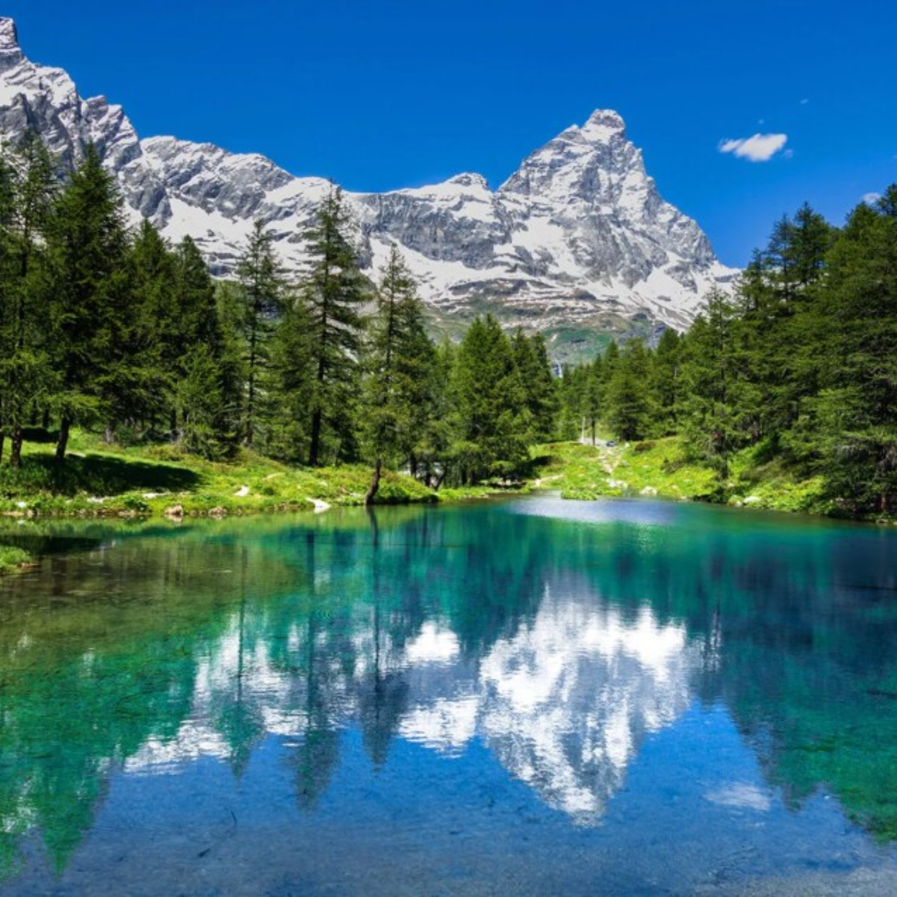 La quinta B e il viaggio in Valle d'Aosta episode artwork