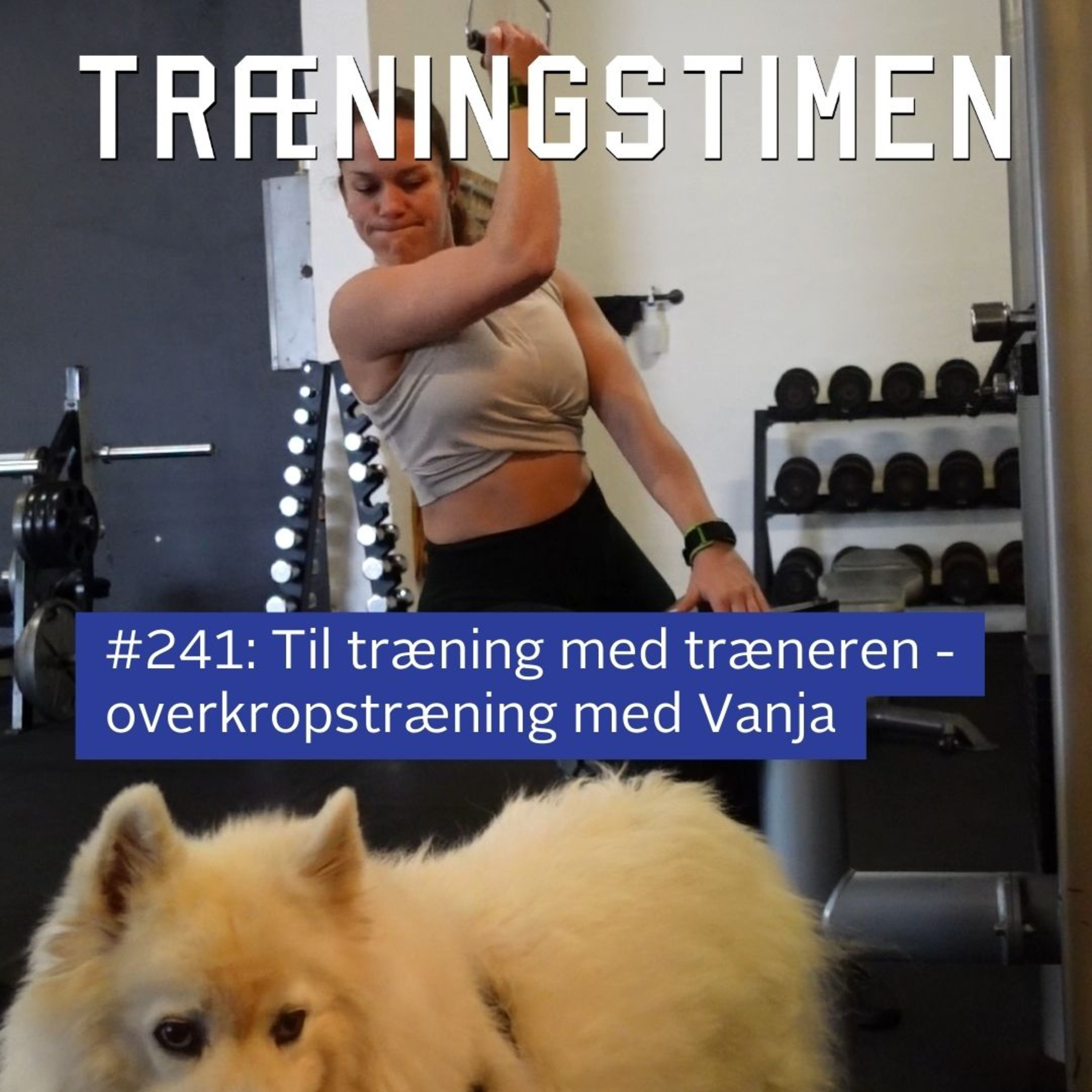 Træningstimen