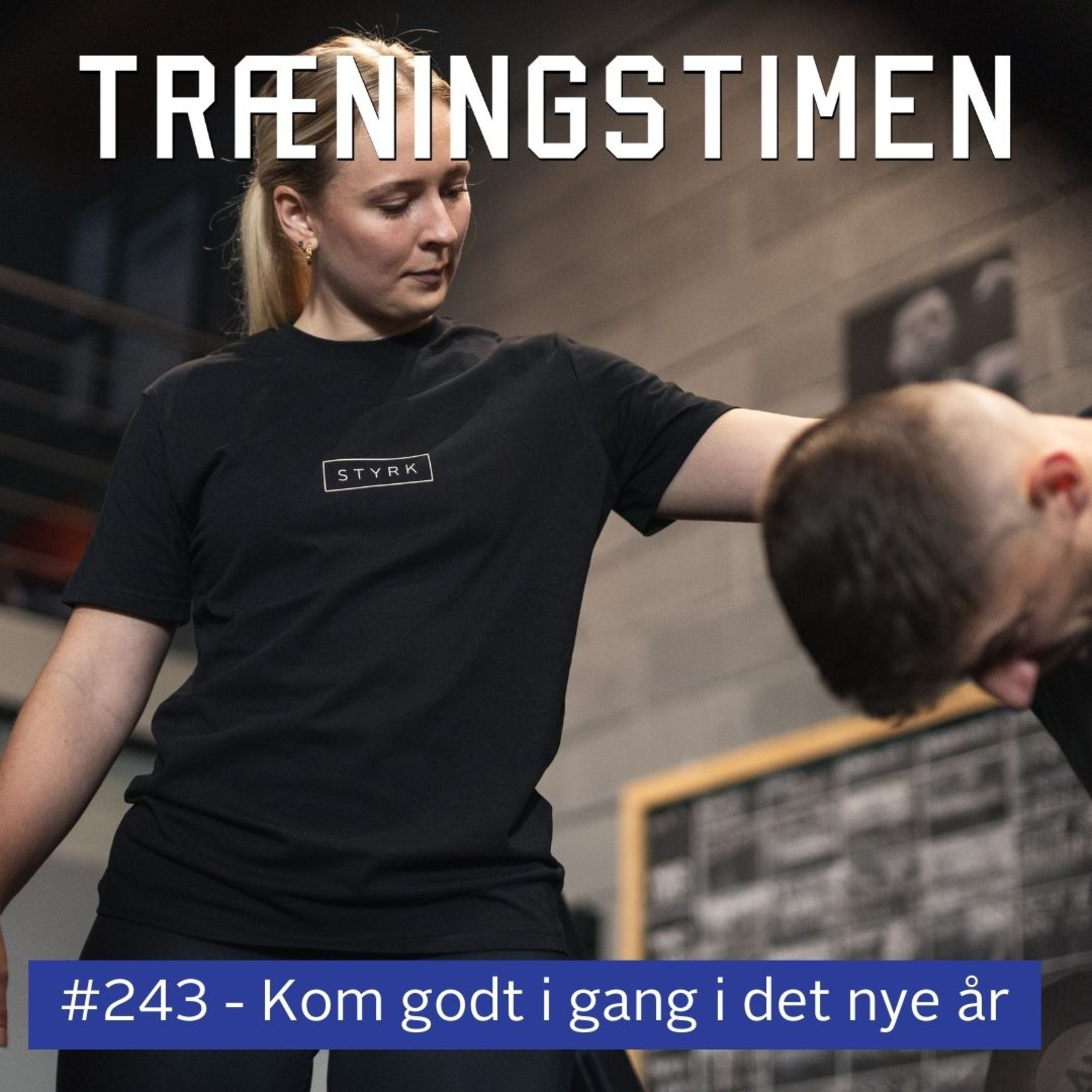 Træningstimen