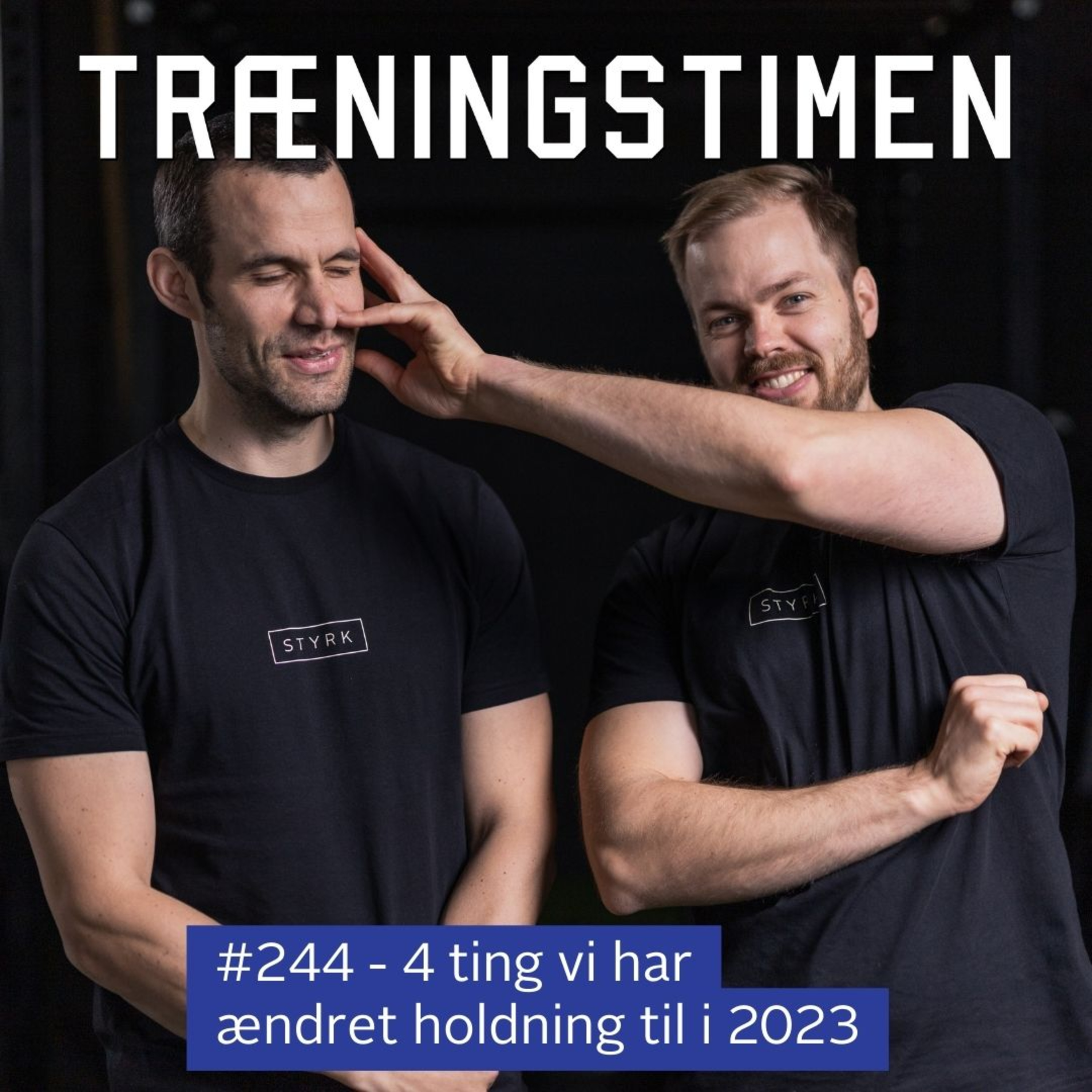 Træningstimen