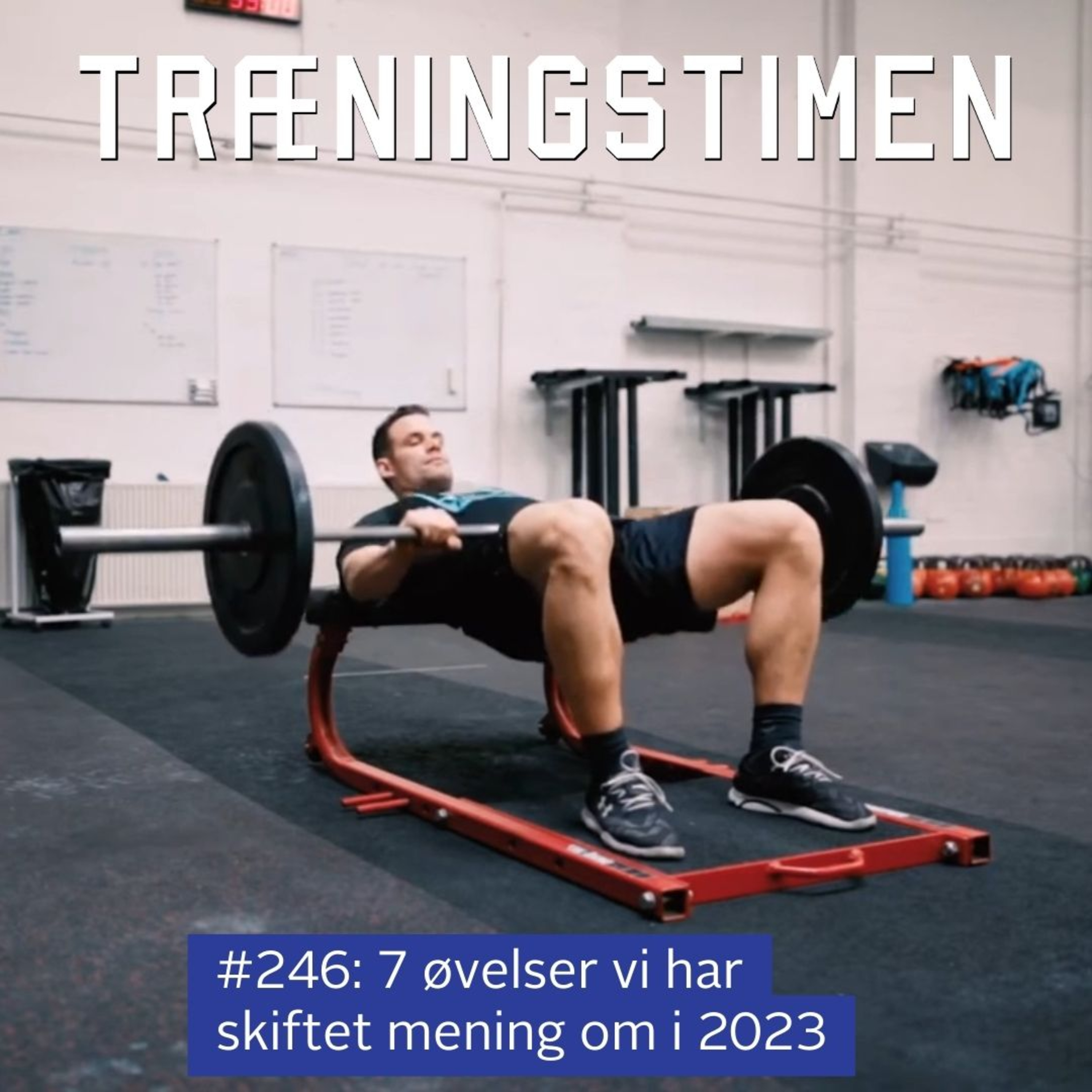 Træningstimen