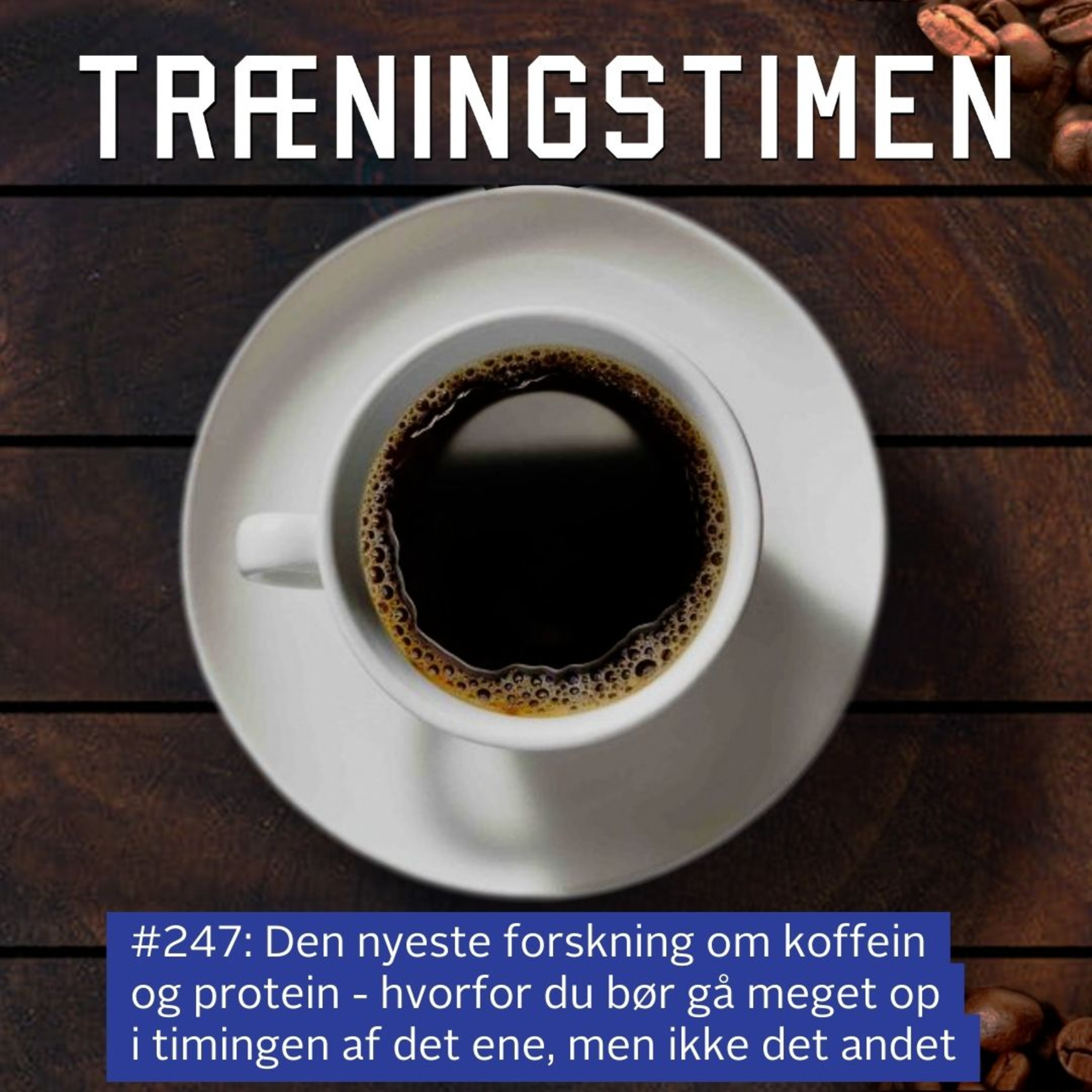 Træningstimen
