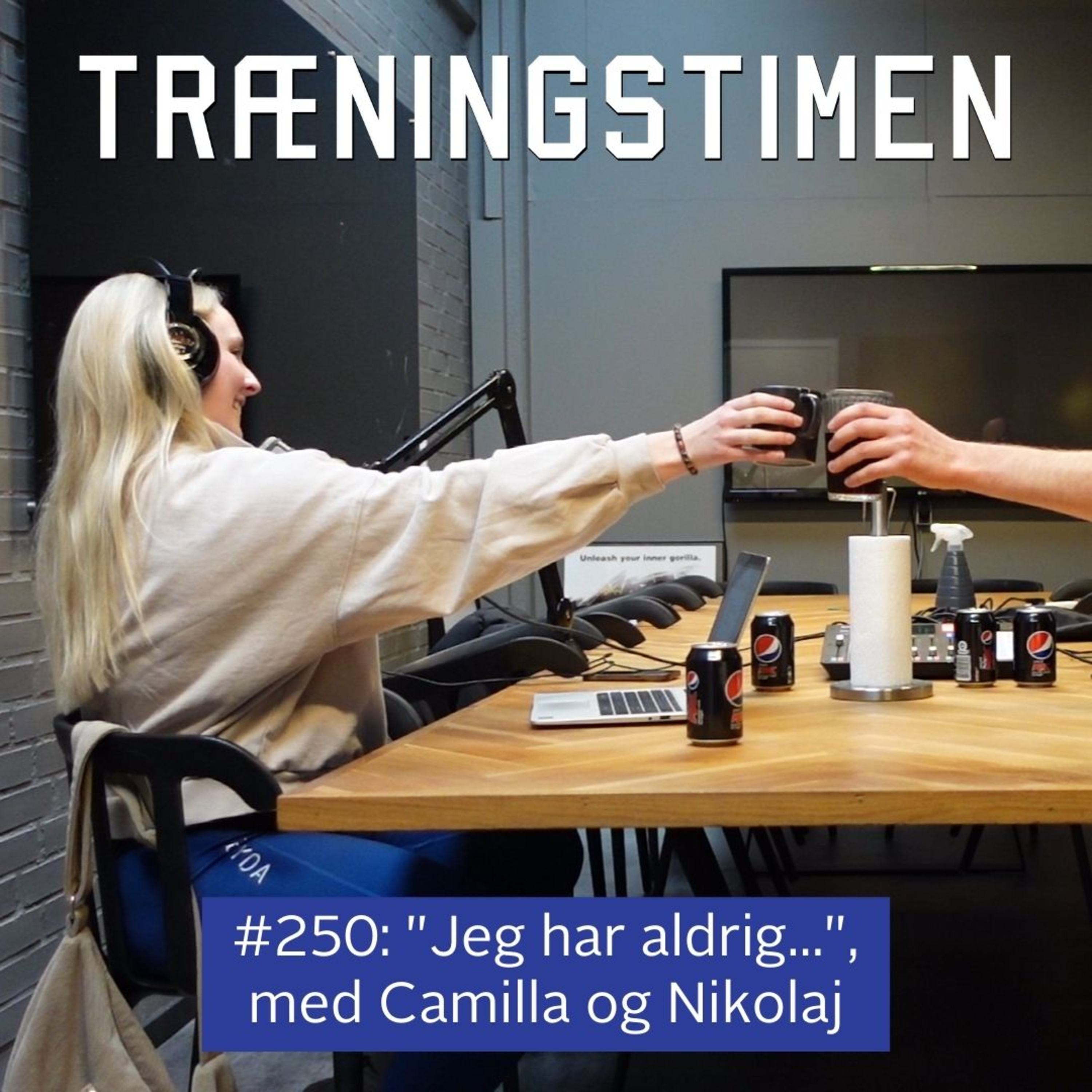 Træningstimen