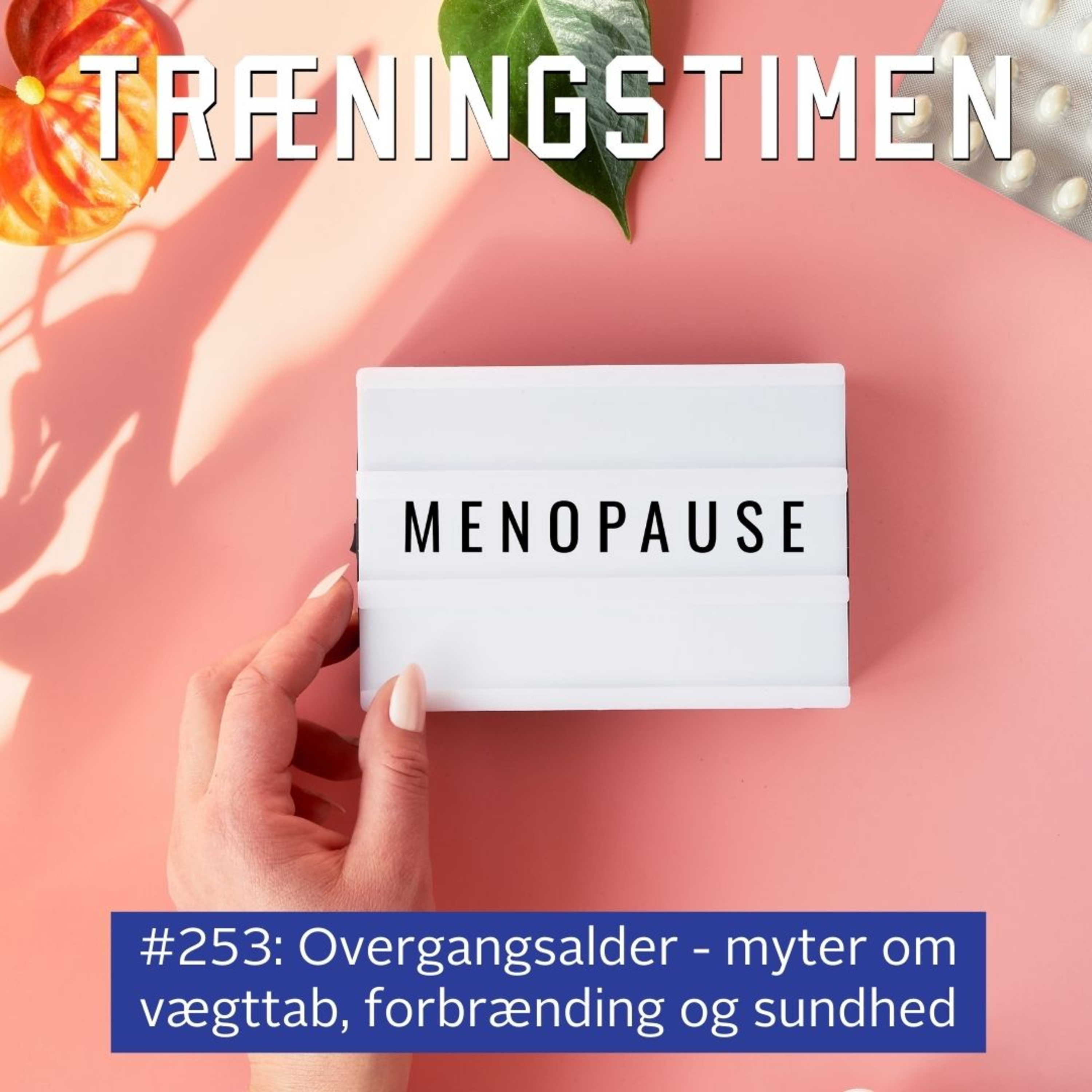 Træningstimen