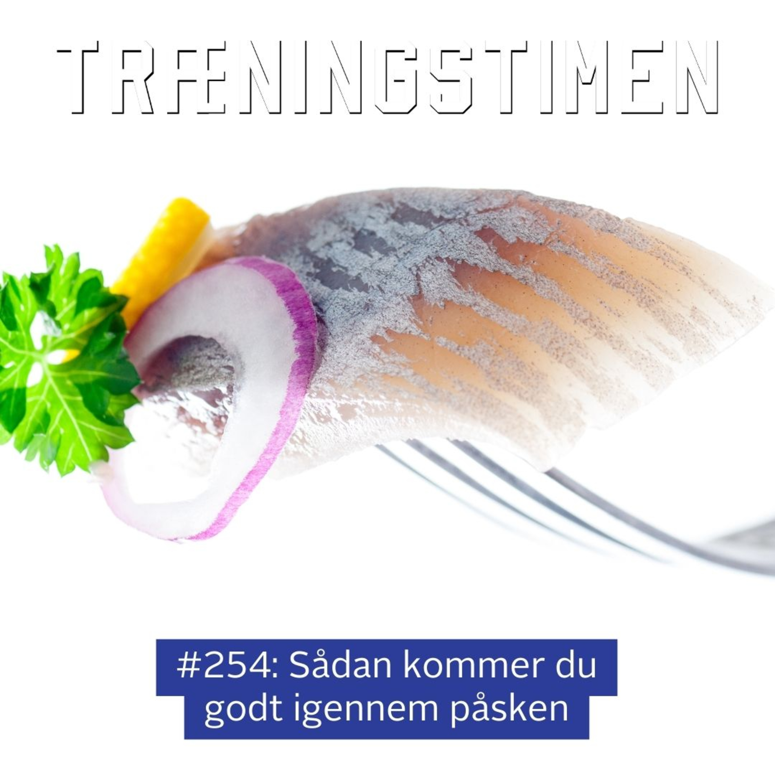 Træningstimen