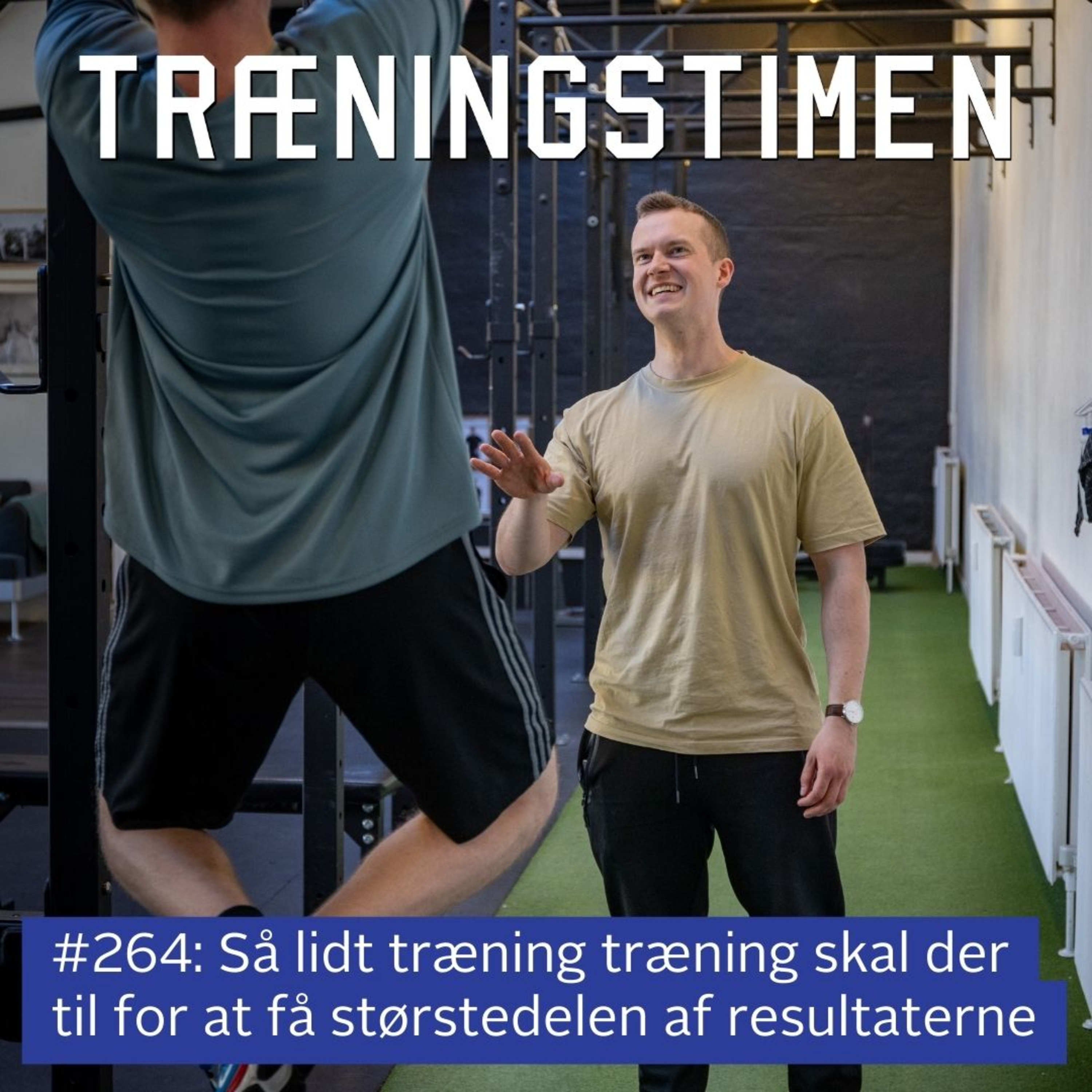 Træningstimen