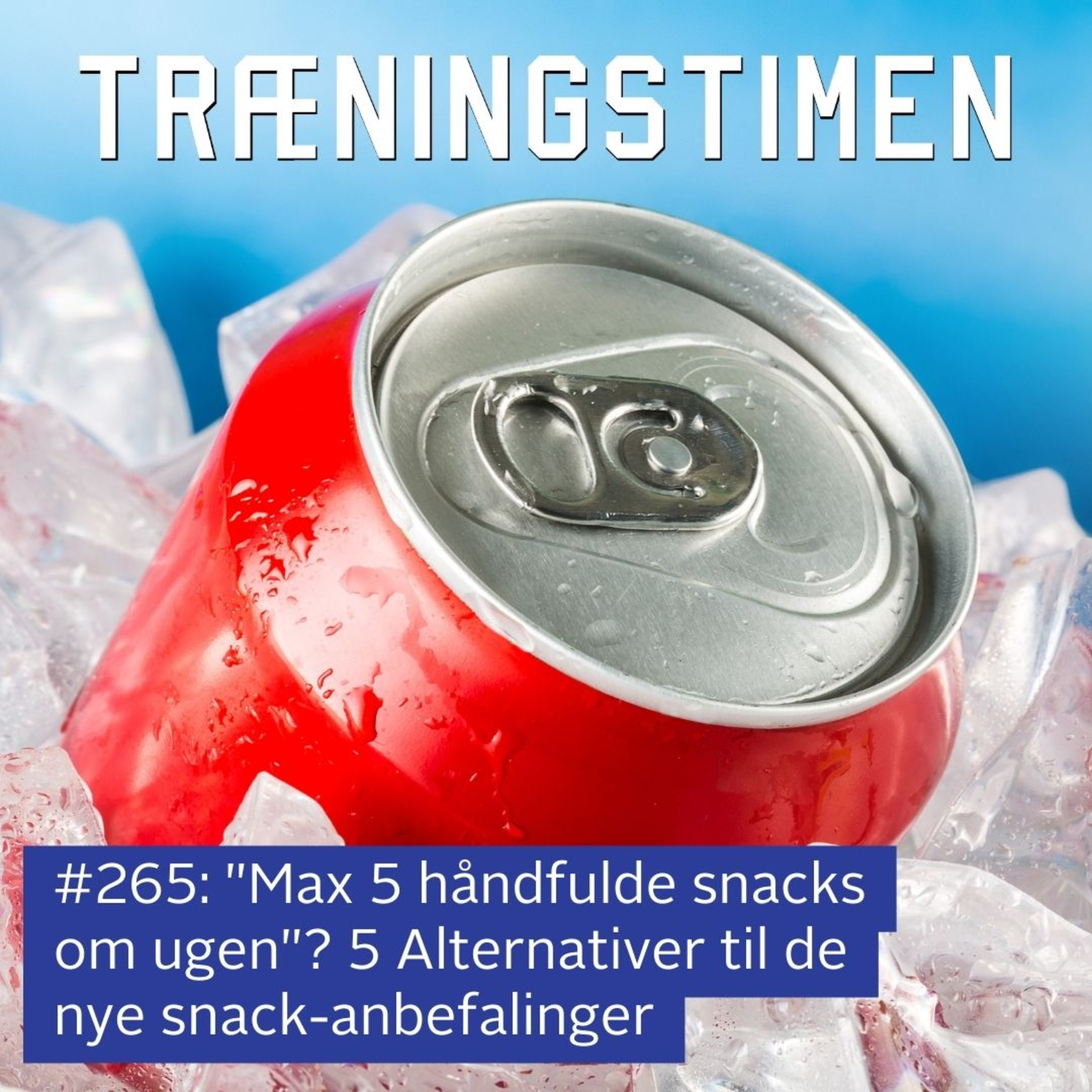 Træningstimen