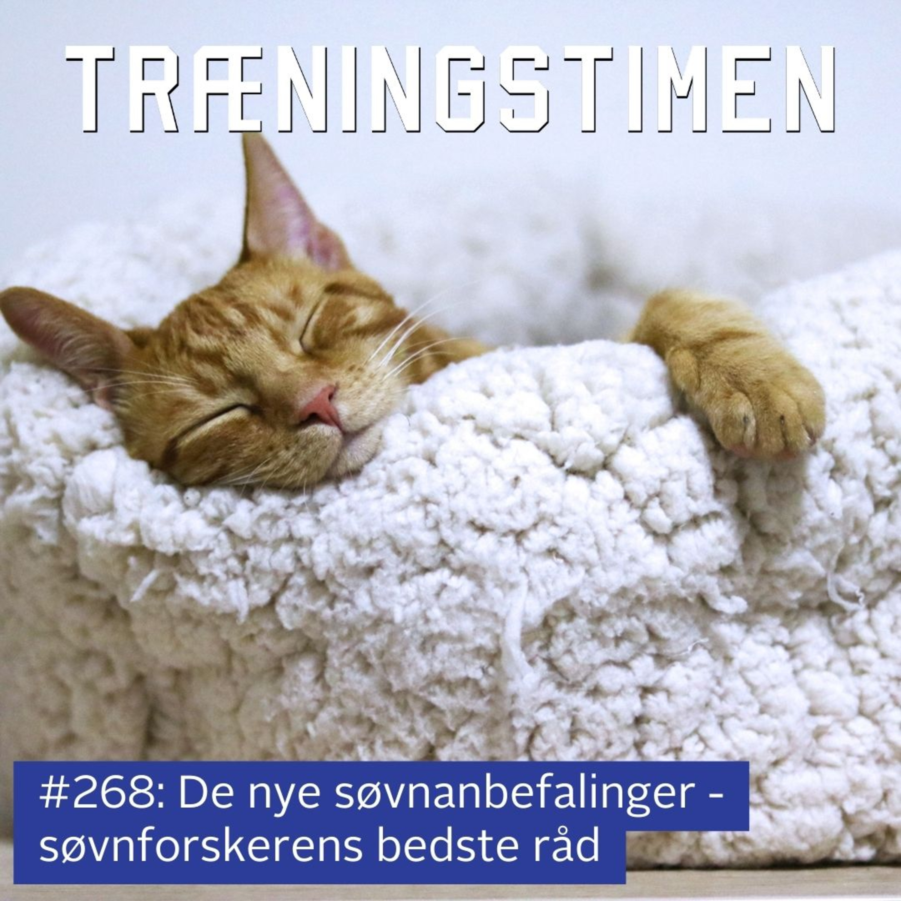 Træningstimen
