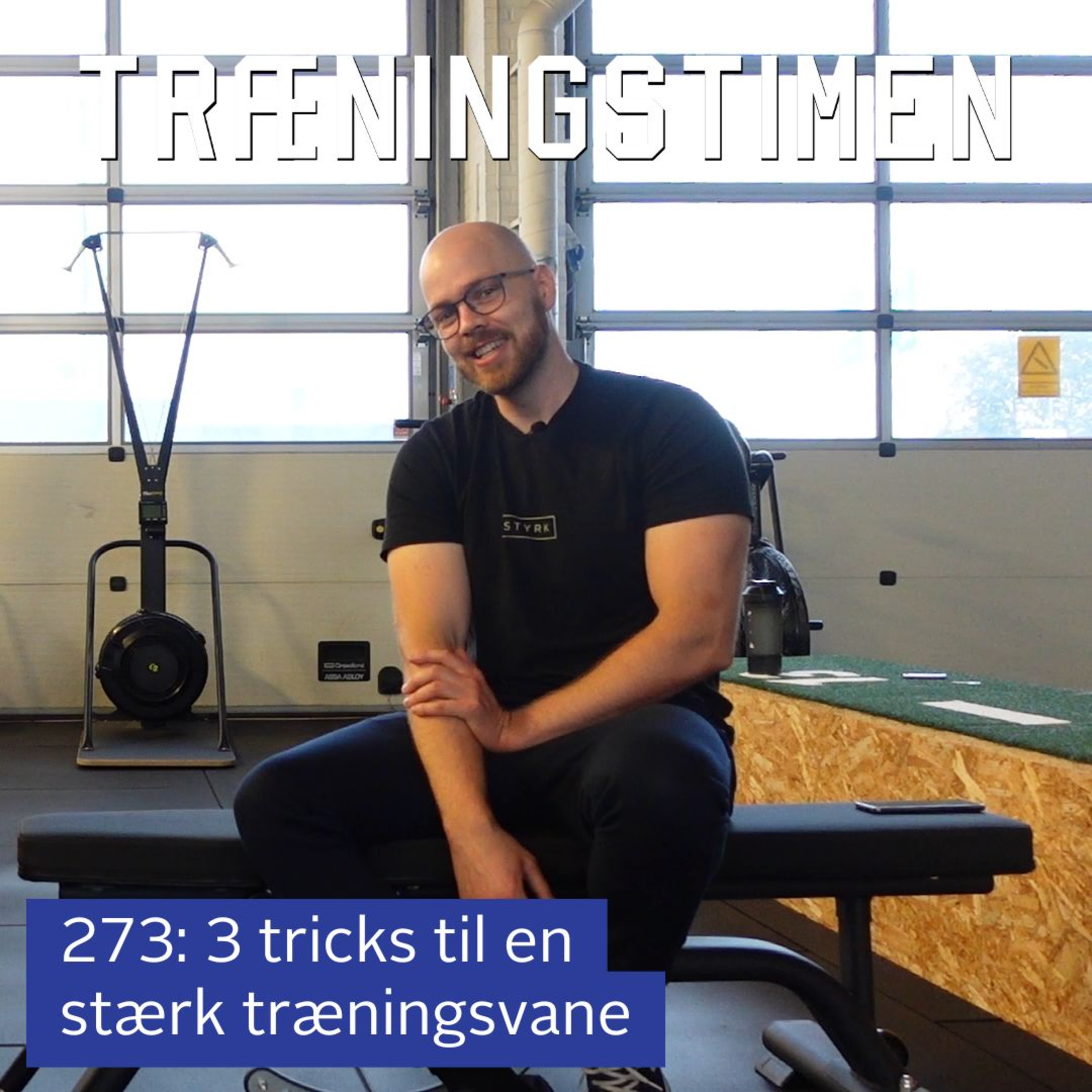 Træningstimen