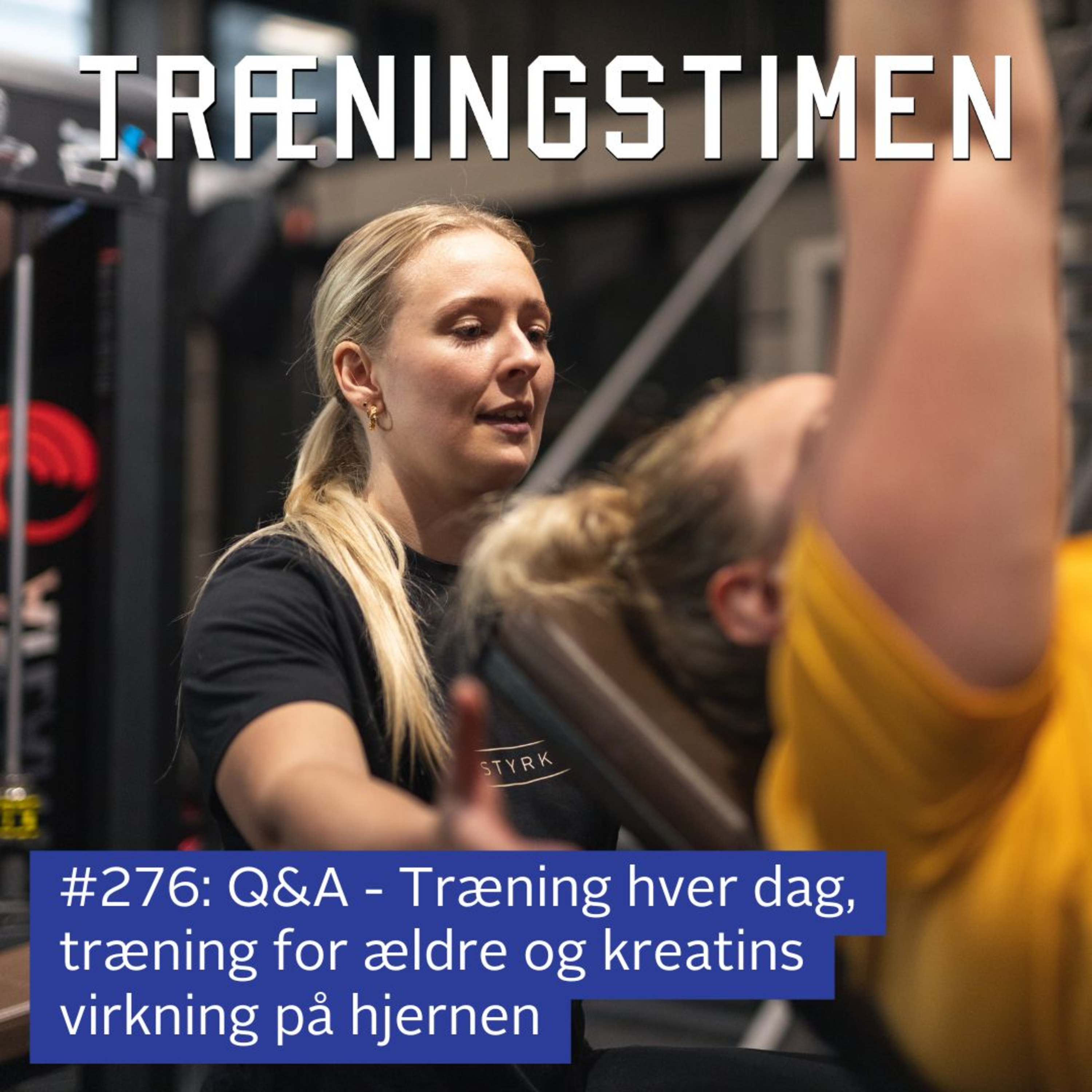 Træningstimen