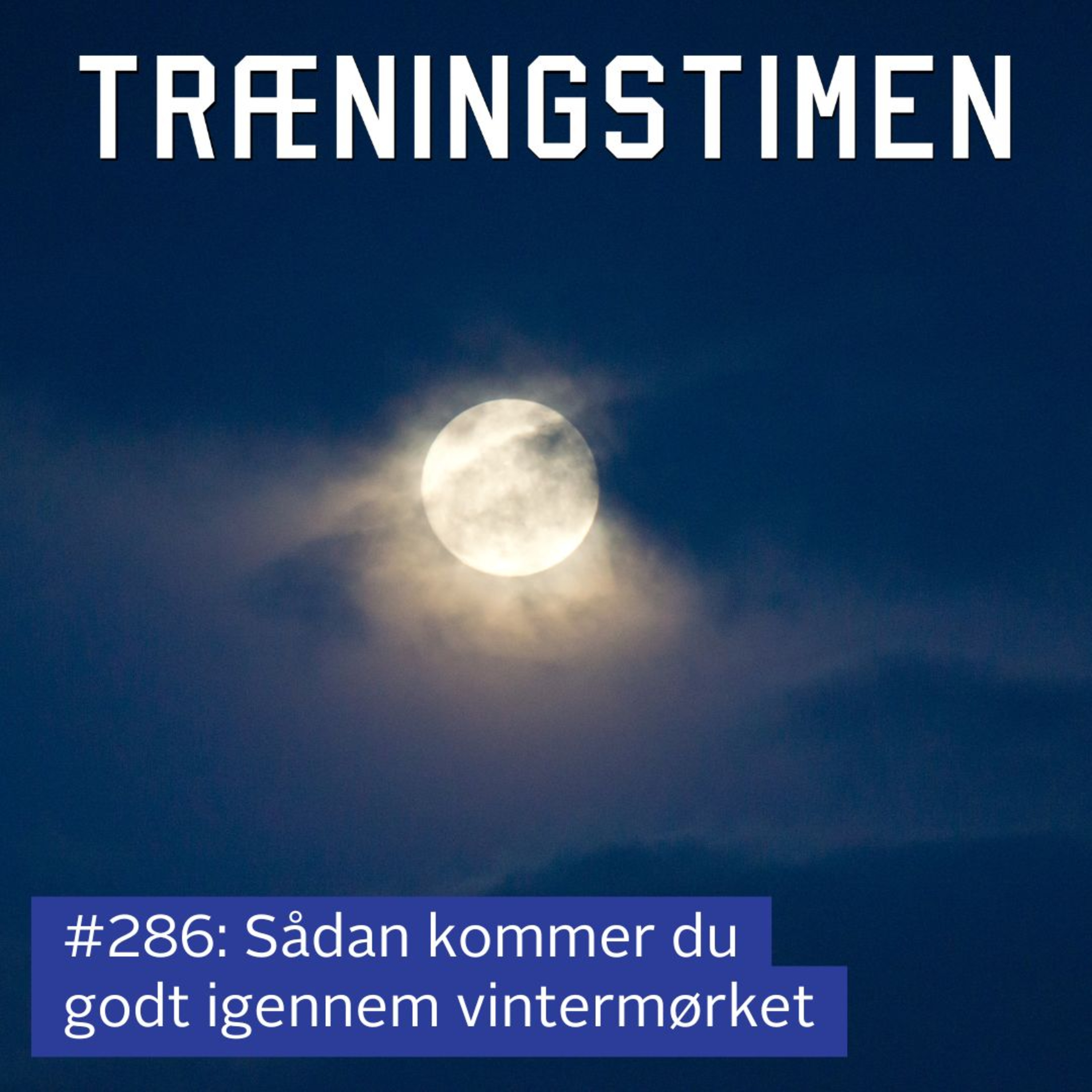 Træningstimen