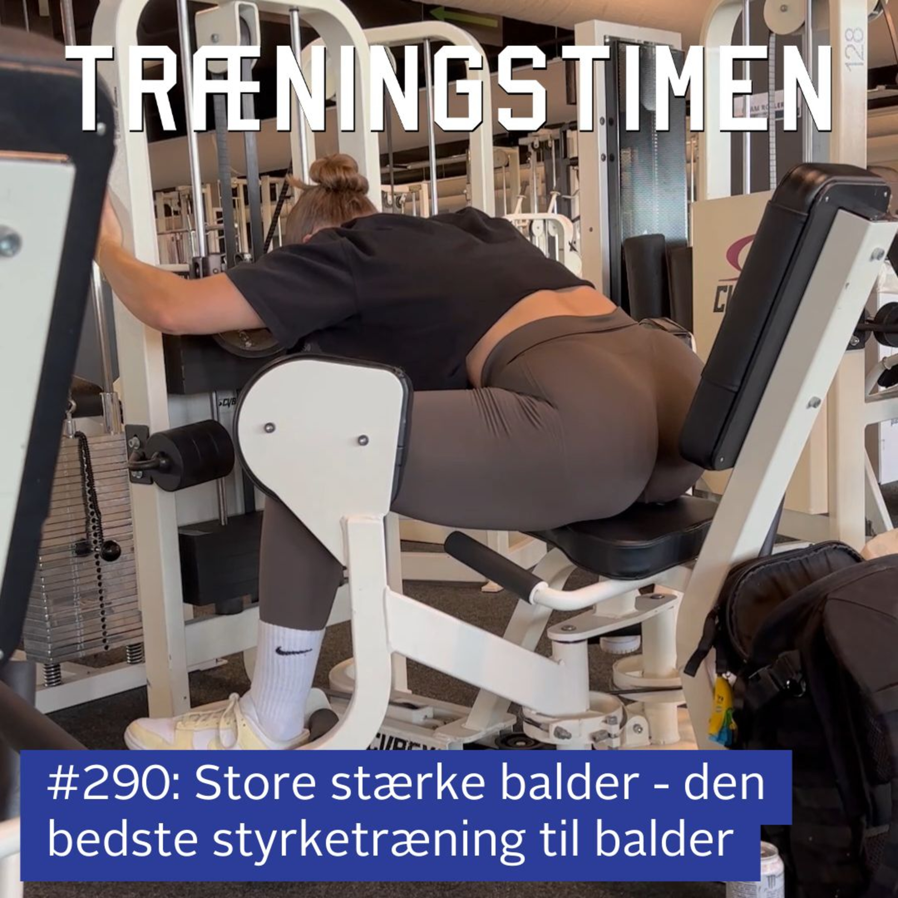 Træningstimen