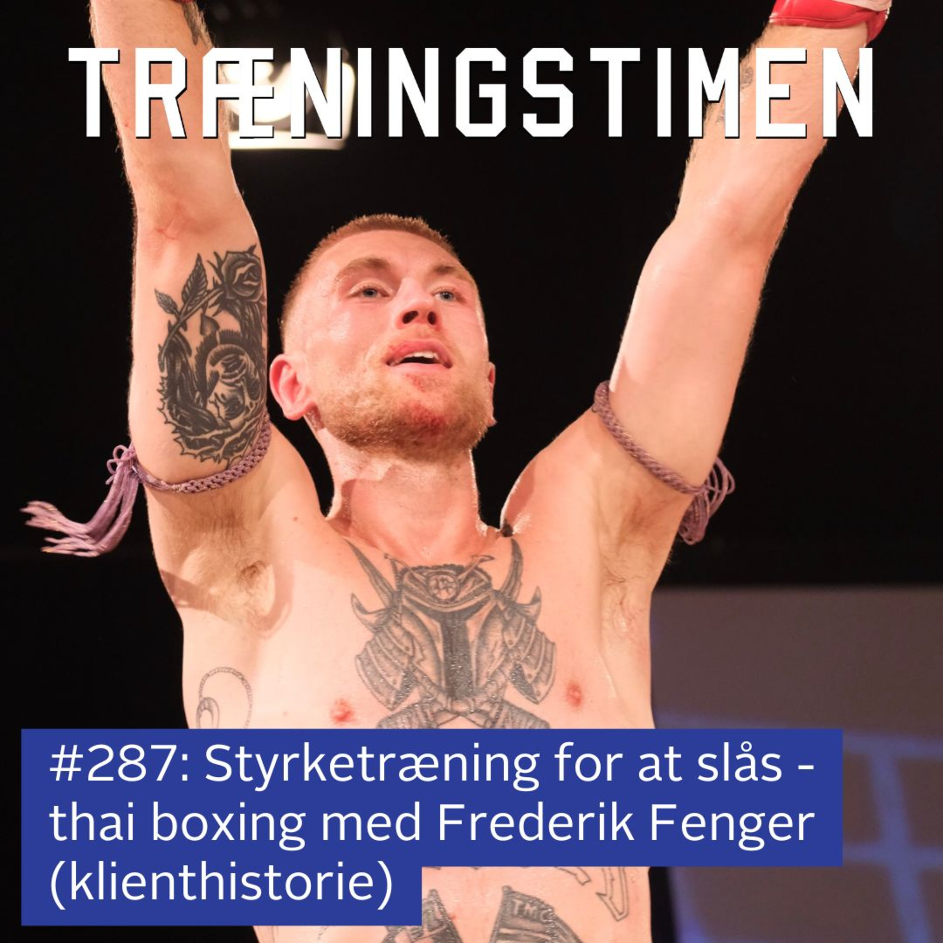 Træningstimen