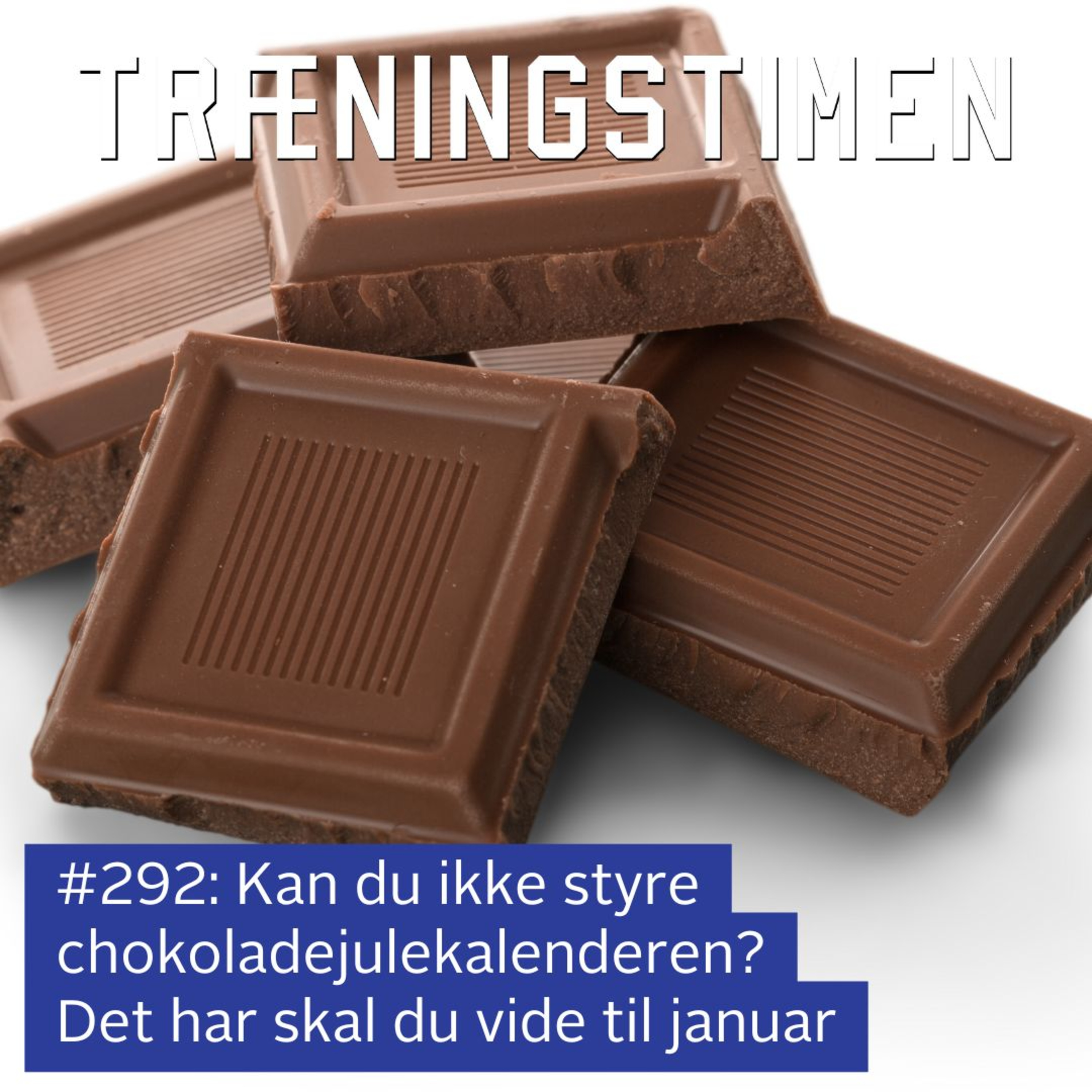 Træningstimen