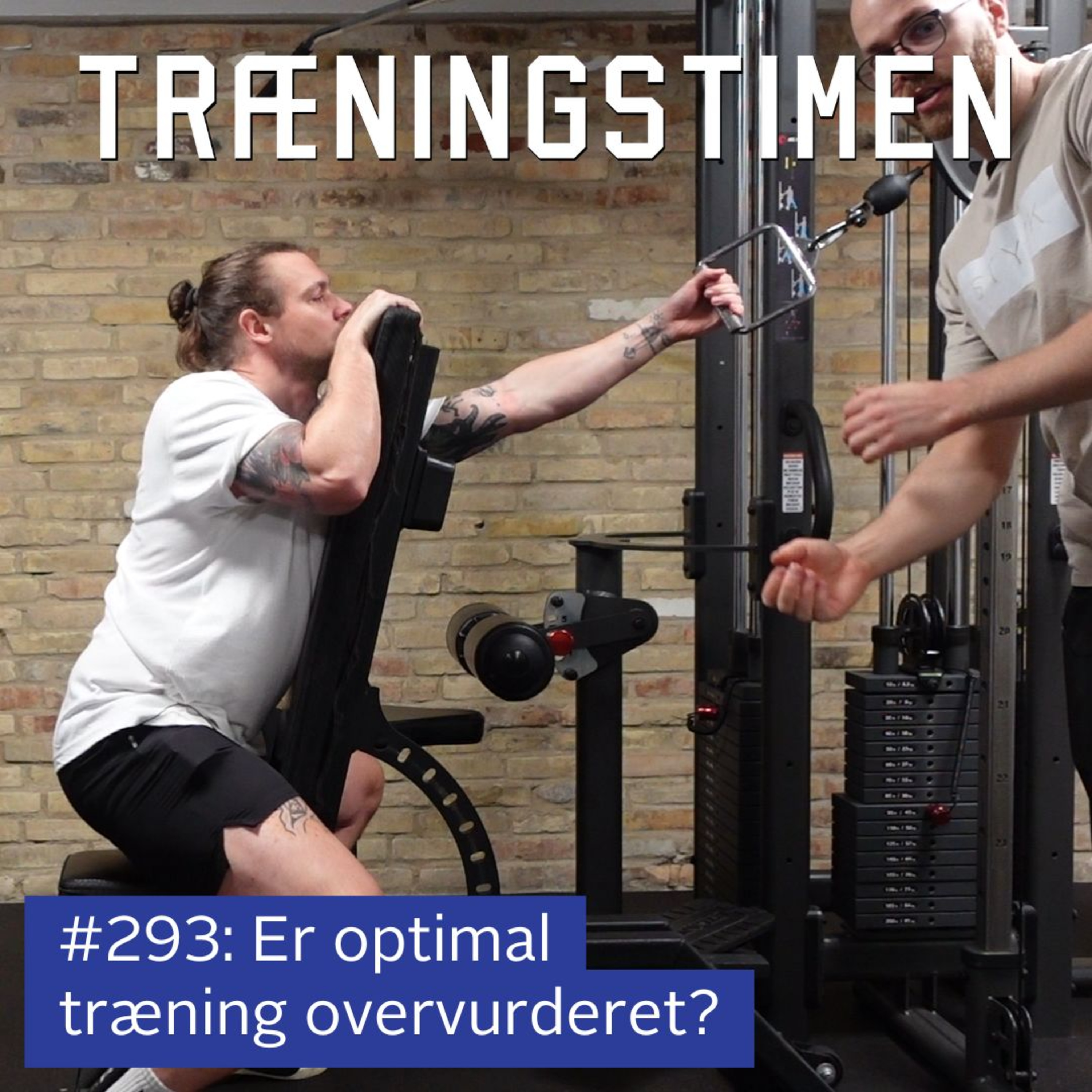 Træningstimen