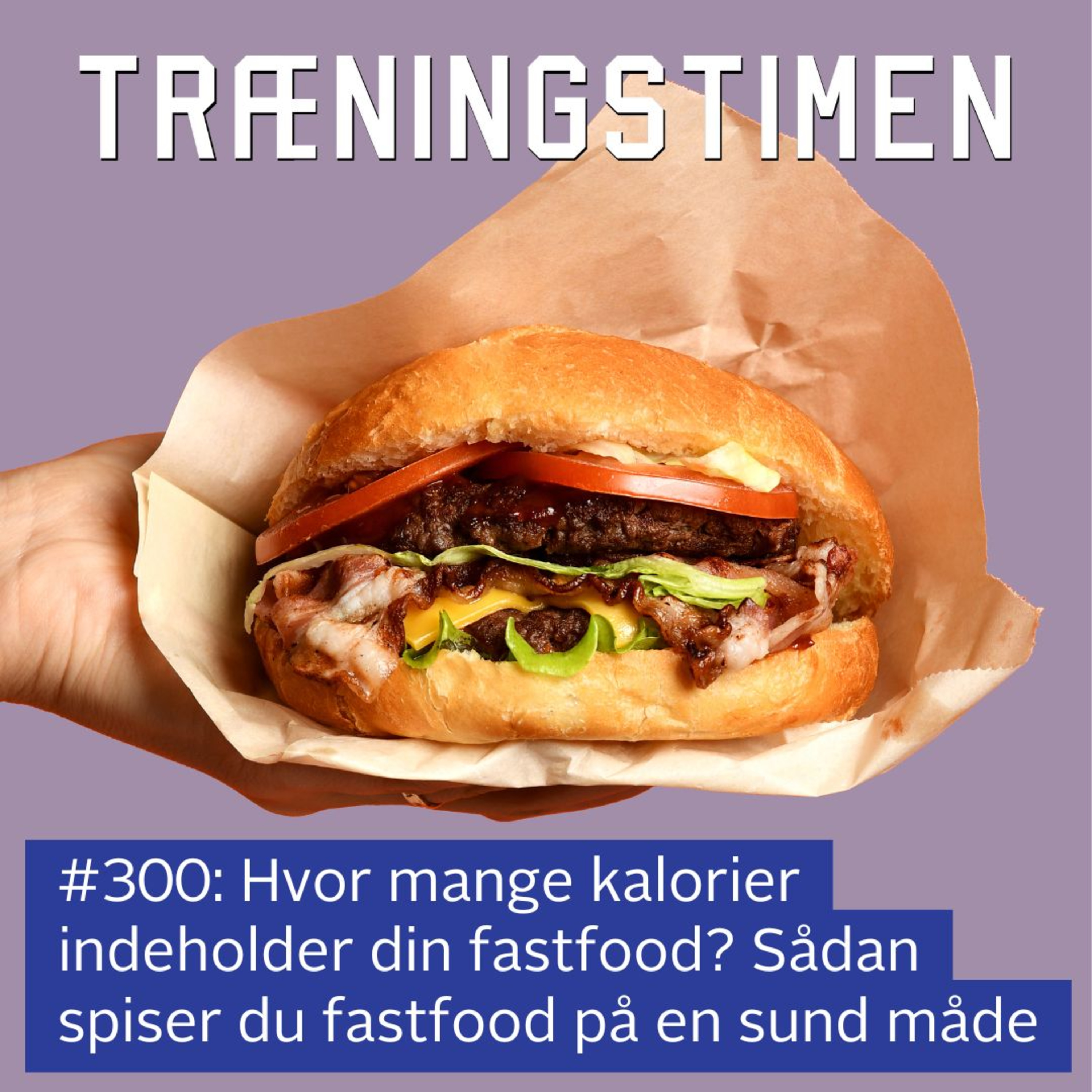 Træningstimen