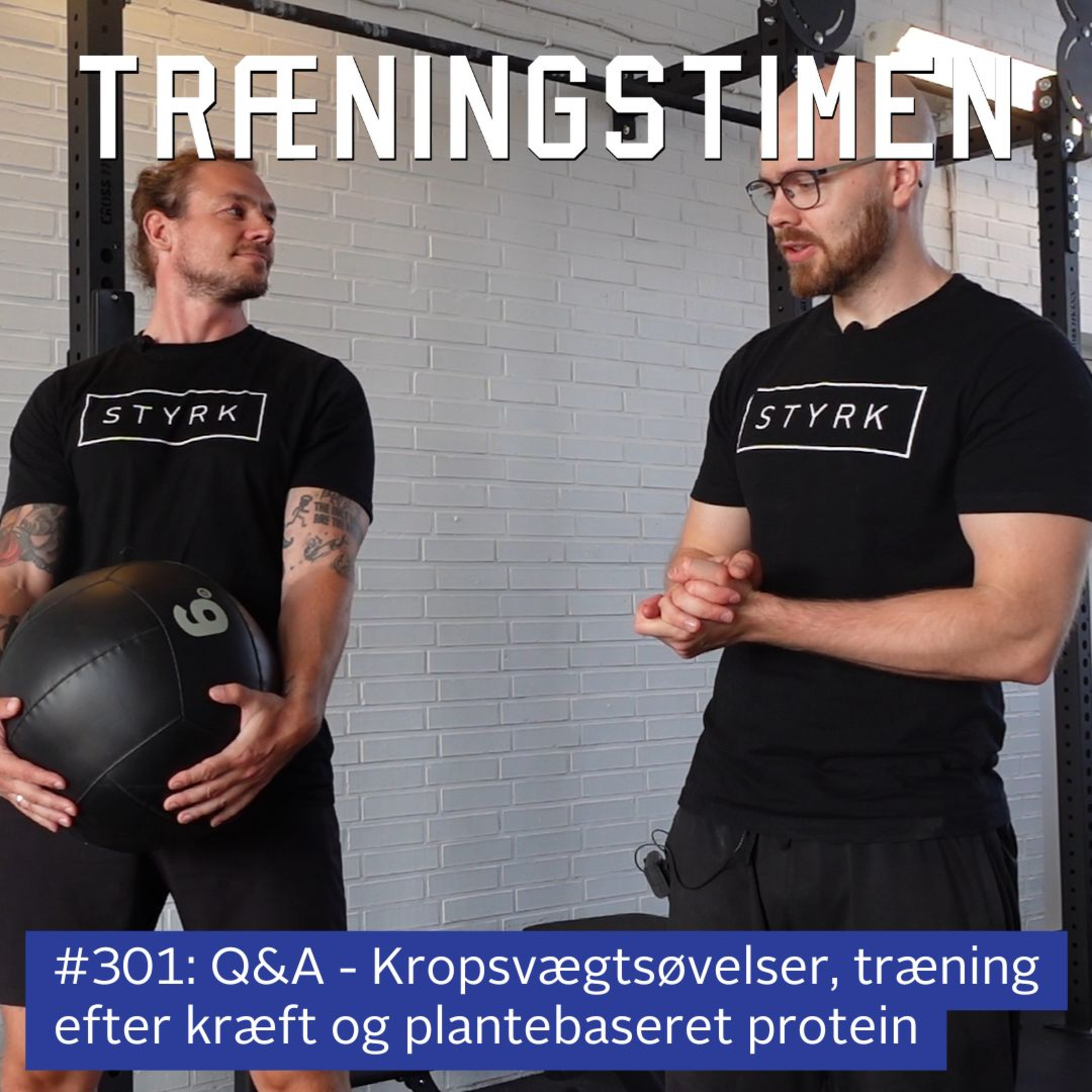 Træningstimen